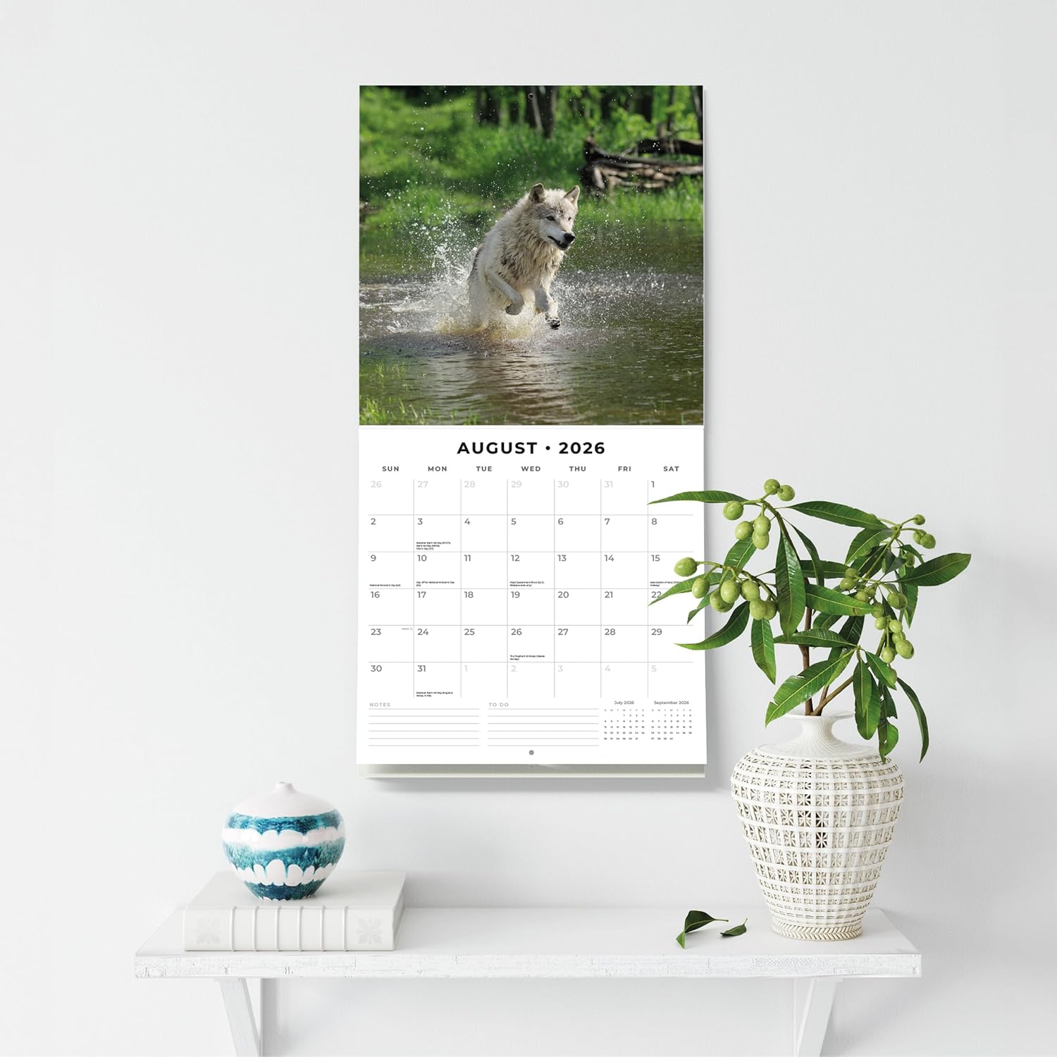 Red Robin 2026 Wildlife of America Monthly Wall Calendar | 12" x 24" Open | Premium Thick & Sturdy Paper | Hangable 12 Month Calendar | Lined Notes & To Do Area | Vivid Images | Plastic Free