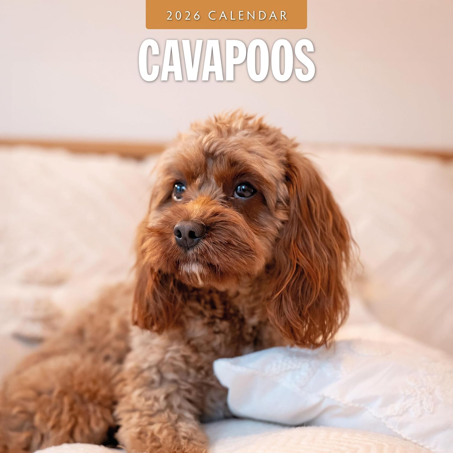 Red Robin 2026 Cavapoos Monthly Wall Calendar | 12" x 24" Open | Premium Thick & Sturdy Paper | Hangable 12 Month Calendar | Lined Notes & To Do Area | Vivid Images | Plastic Free