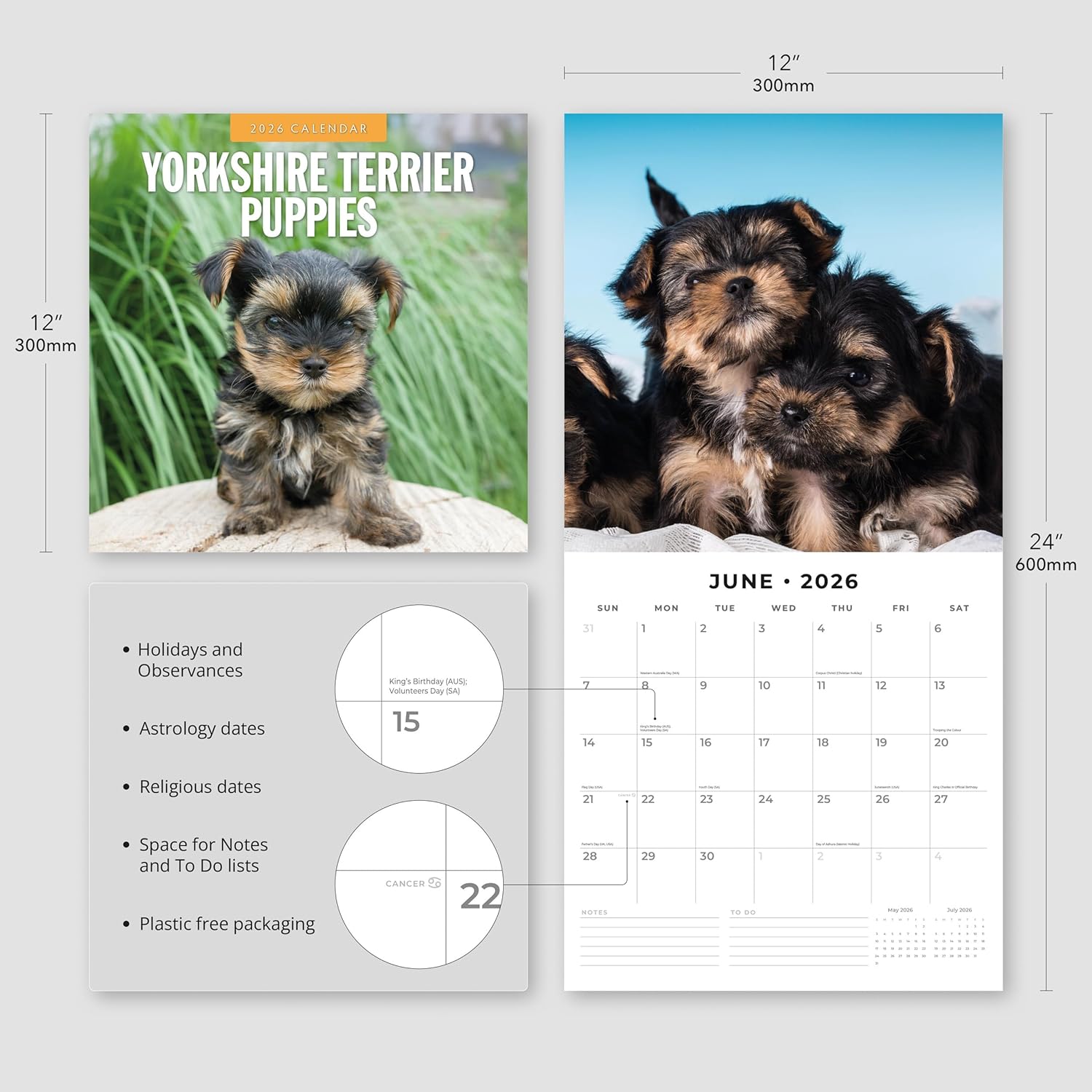 Red Robin 2026 Yorkshire Terrier Puppies Monthly Wall Calendar | 12" x 24" Open | Premium Thick & Sturdy Paper | Hangable 12 Month Calendar | Lined Notes & To Do Area | Vivid Images | Plastic Free