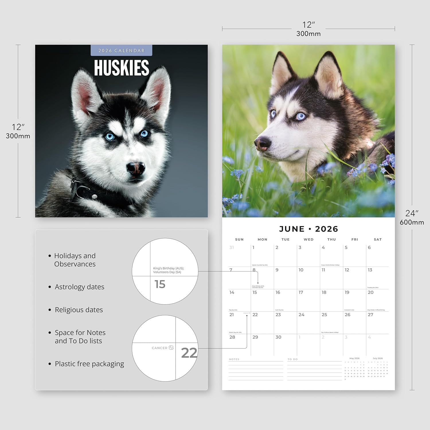 Red Robin 2026 Huskies Monthly Wall Calendar | 12" x 24" Open | Premium Thick & Sturdy Paper | Hangable 12 Month Calendar | Lined Notes & To Do Area | Vivid Images | Plastic Free
