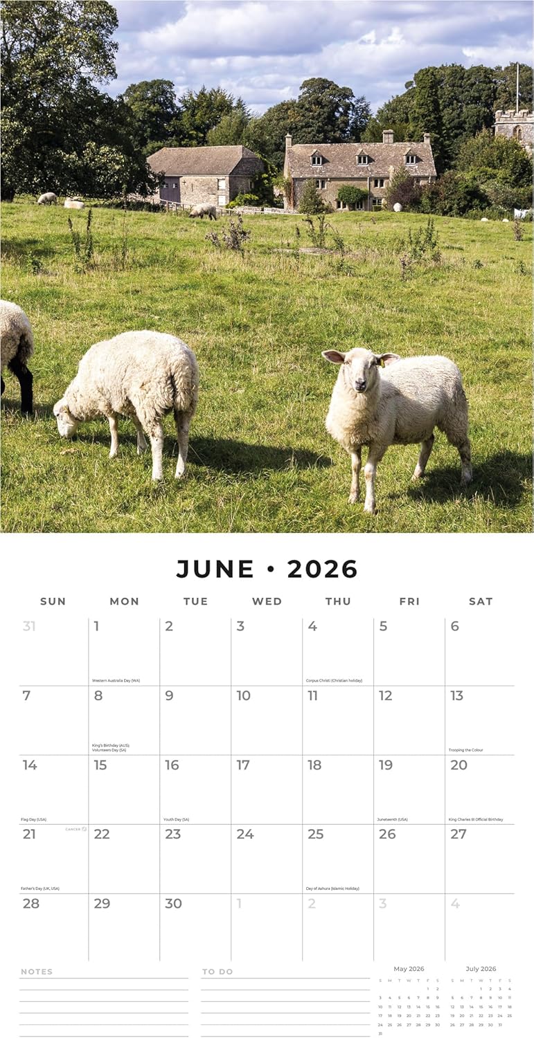 Red Robin 2026 On The Farm Monthly Wall Calendar | 12" x 24" Open | Premium Thick & Sturdy Paper | Hangable 12 Month Calendar | Lined Notes & To Do Area | Vivid Images | Plastic Free