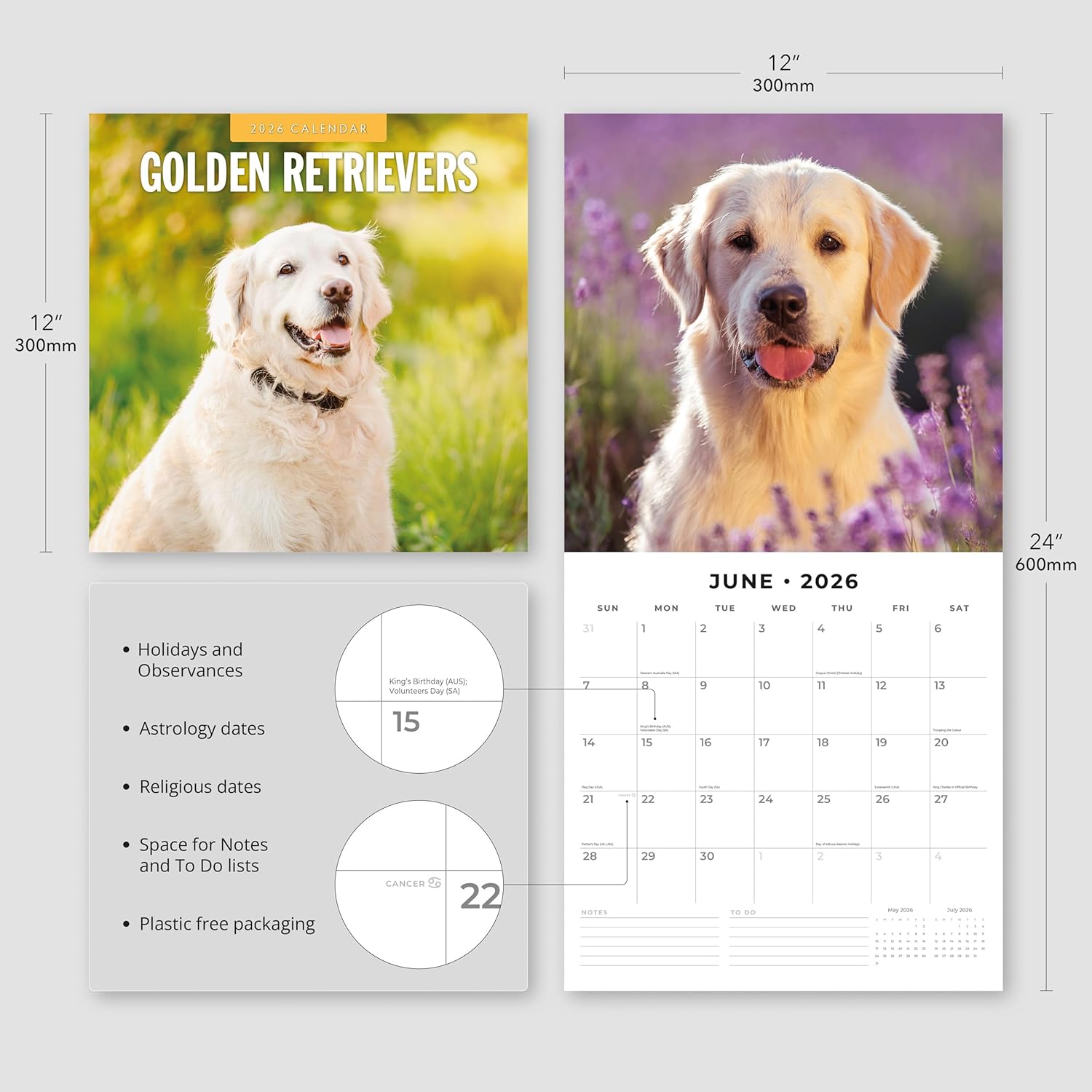 Red Robin 2026 Golden Retrievers Monthly Wall Calendar | 12" x 24" Open | Premium Thick & Sturdy Paper | Hangable 12 Month Calendar | Lined Notes & To Do Area | Vivid Images | Plastic Free