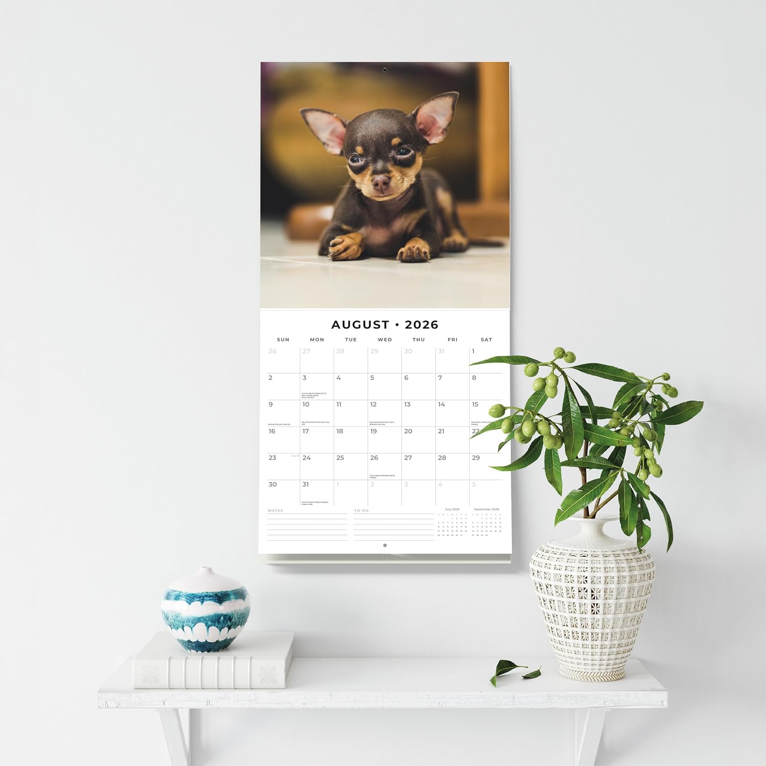 Red Robin 2026 Miniature Pinschers Monthly Wall Calendar | 12" x 24" Open | Premium Thick & Sturdy Paper | Hangable 12 Month Calendar | Lined Notes & To Do Area | Vivid Images | Plastic Free