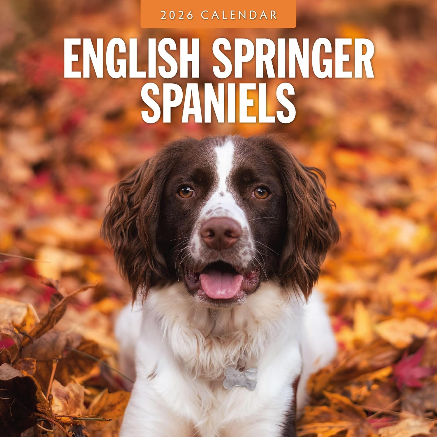 Red Robin 2026 English Springer Spaniels Monthly Wall Calendar | 12" x 24" Open | Premium Thick & Sturdy Paper | Hangable 12 Month Calendar | Lined Notes & To Do Area | Vivid Images | Plastic Free