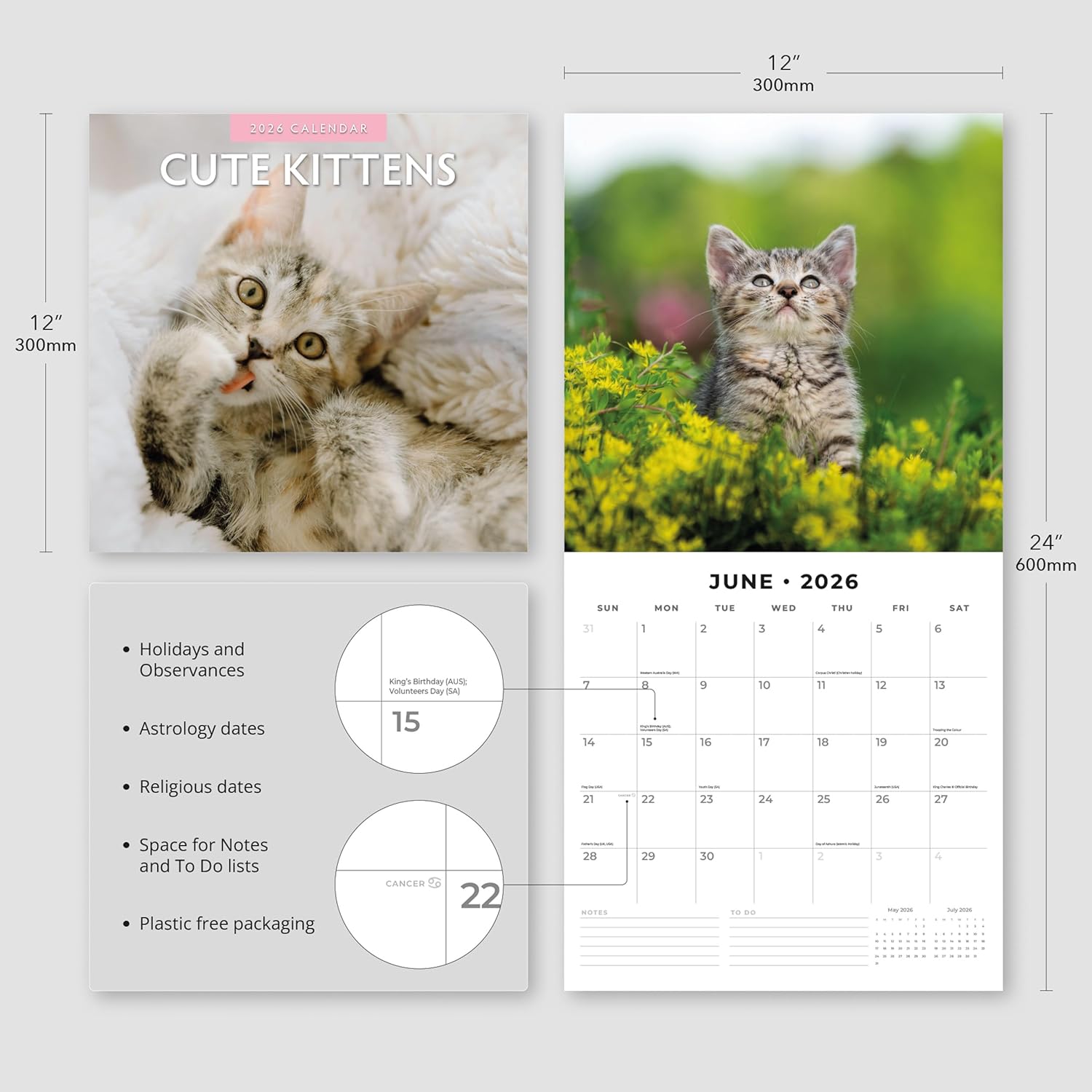 Red Robin 2026 Cute Kittens Monthly Wall Calendar | 12" x 24" Open | Premium Thick & Sturdy Paper | Hangable 12 Month Calendar | Lined Notes & To Do Area | Vivid Images | Plastic Free