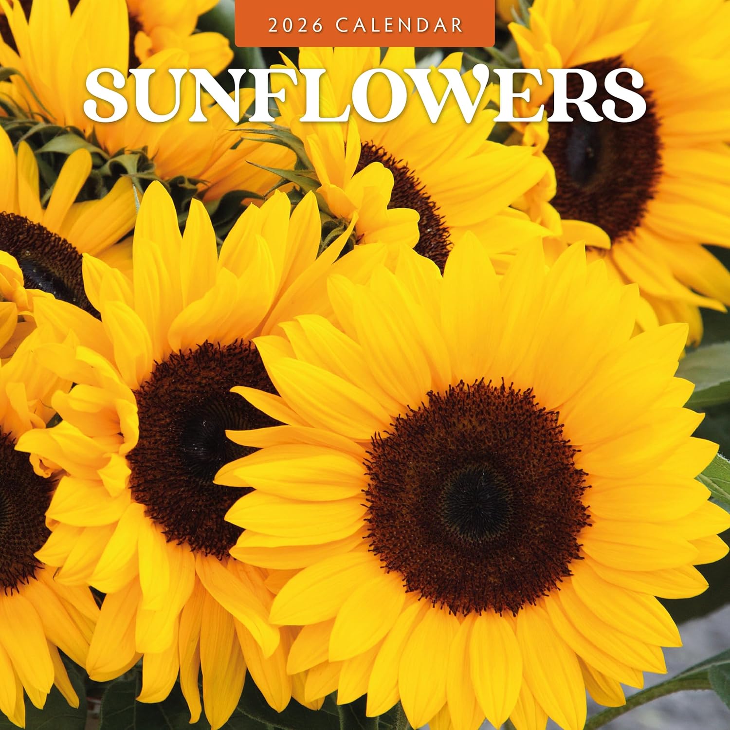 Red Robin 2026 Sunflowers Monthly Wall Calendar | 12" x 24" Open | Premium Thick & Sturdy Paper | Hangable 12 Month Calendar | Lined Notes & To Do Area | Vivid Images | Plastic Free