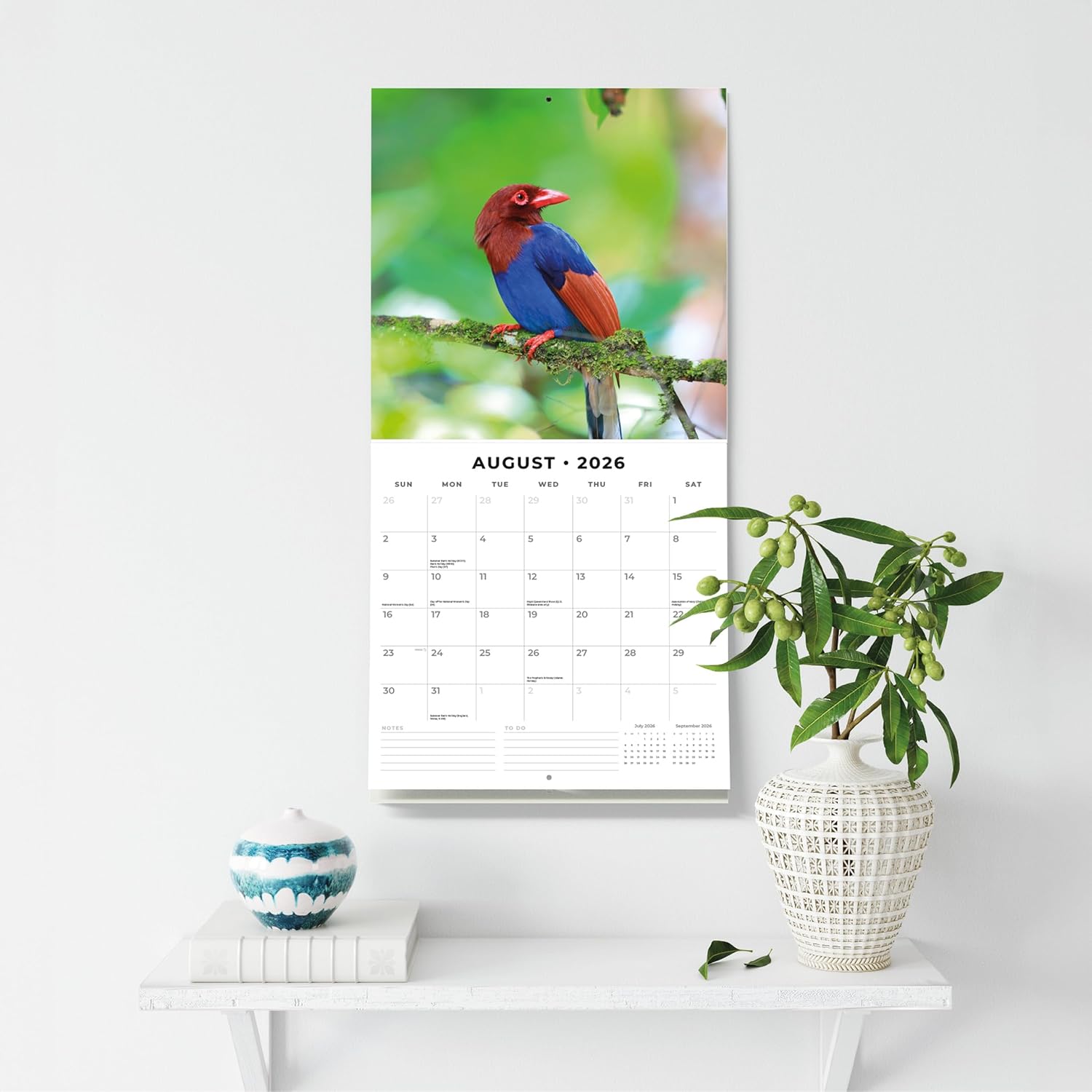 Red Robin 2026 Exotic Birds Monthly Wall Calendar | 12" x 24" Open | Premium Thick & Sturdy Paper | Hangable 12 Month Calendar | Lined Notes & To Do Area | Vivid Images | Plastic Free