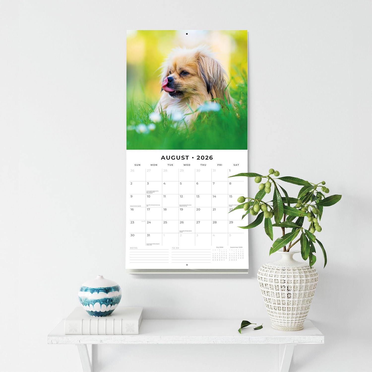 Red Robin 2026 Pekingese Monthly Wall Calendar | 12" x 24" Open | Premium Thick & Sturdy Paper | Hangable 12 Month Calendar | Lined Notes & To Do Area | Vivid Images | Plastic Free