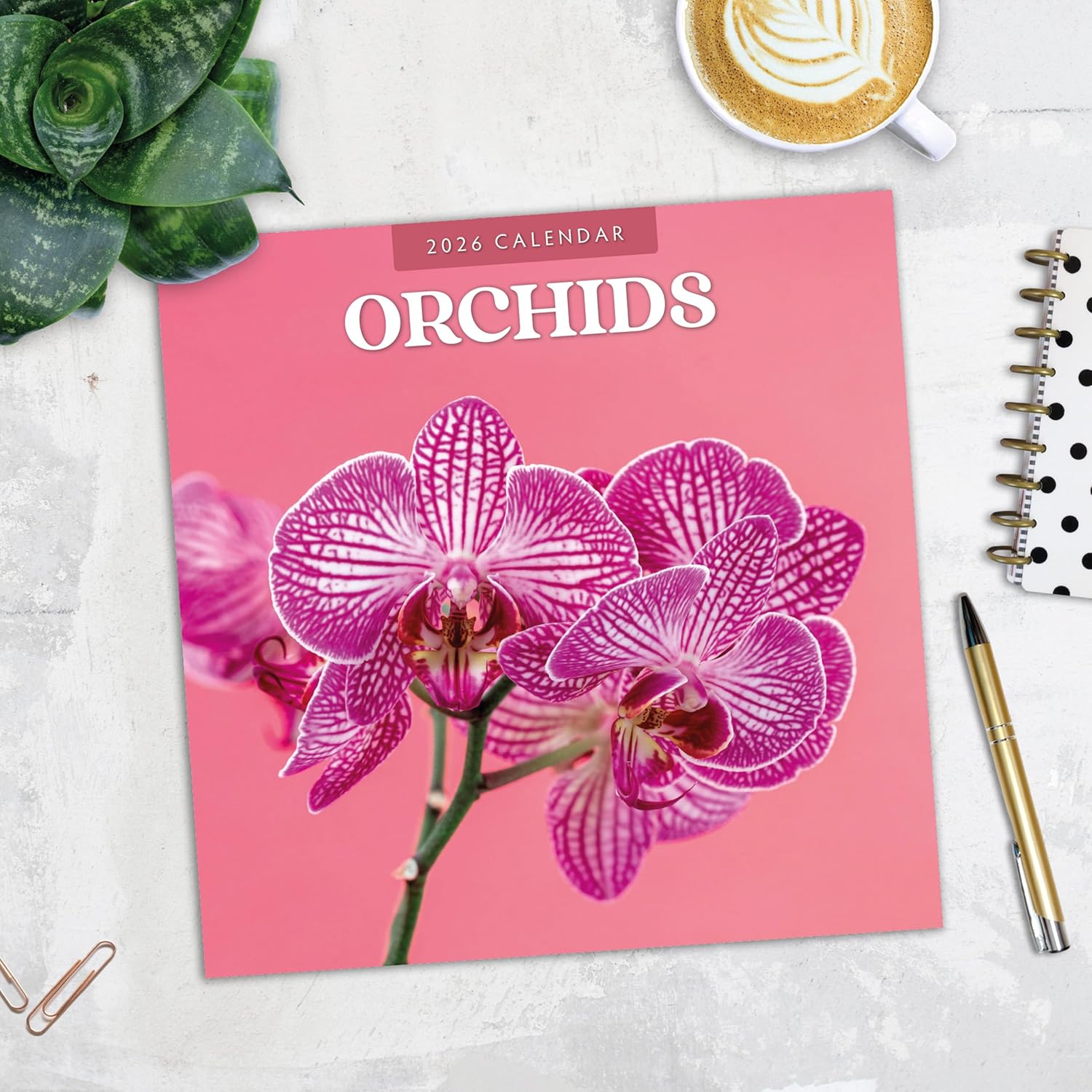 Red Robin 2026 Orchids Monthly Wall Calendar | 12" x 24" Open | Premium Thick & Sturdy Paper | Hangable 12 Month Calendar | Lined Notes & To Do Area | Vivid Images | Plastic Free