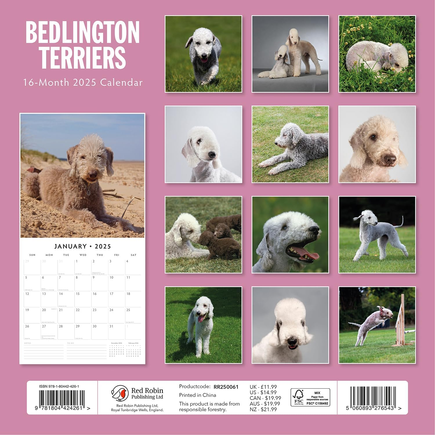 Red Robin 2025 Bedlington Terriers Monthly Wall Calendar | 12" x 24" Open | Premium Thick & Sturdy Paper | Hangable 12 Month Calendar | Plastic Free | 4 Month Transition Page for 2024