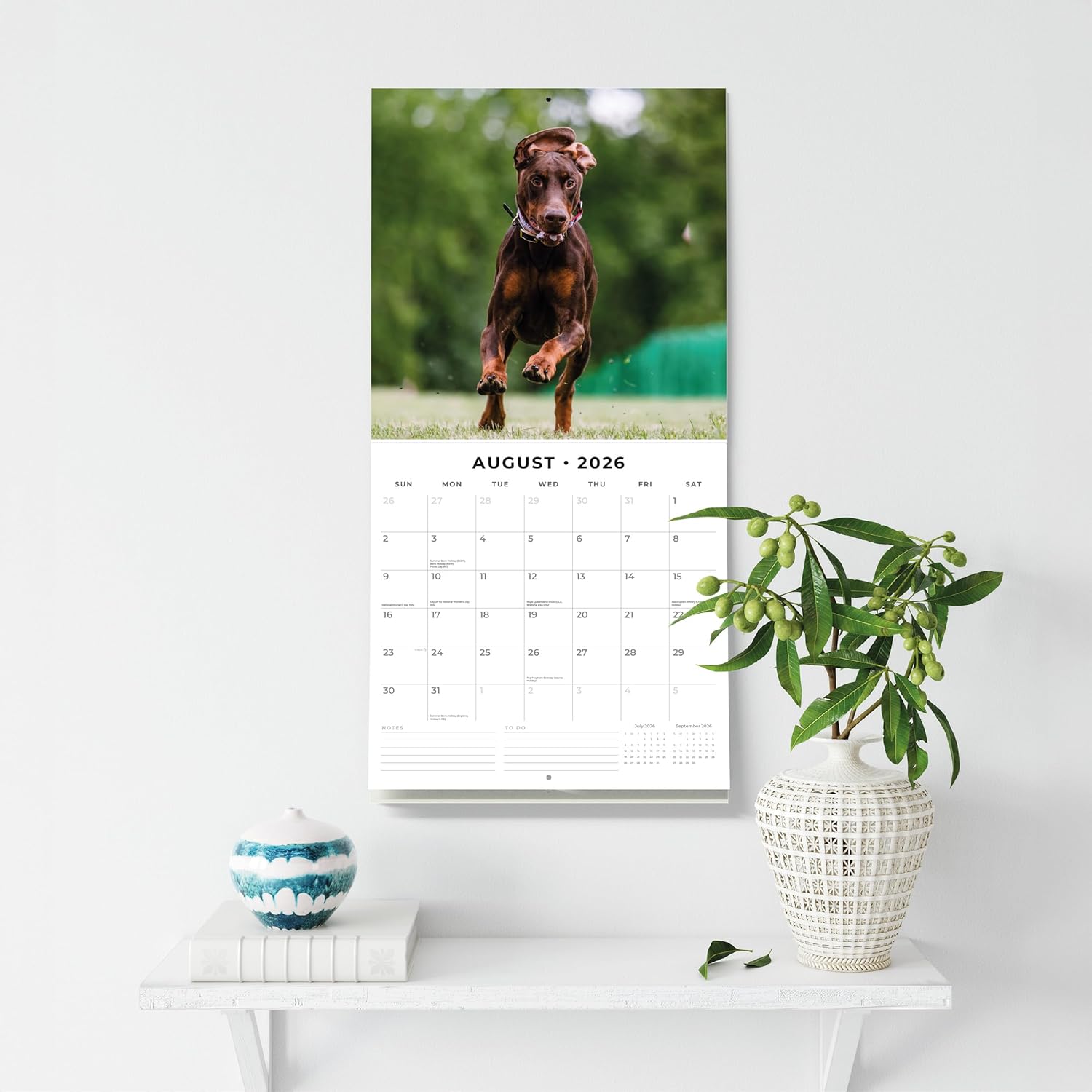 Red Robin 2026 Dobermans Monthly Wall Calendar | 12" x 24" Open | Premium Thick & Sturdy Paper | Hangable 12 Month Calendar | Lined Notes & To Do Area | Vivid Images | Plastic Free