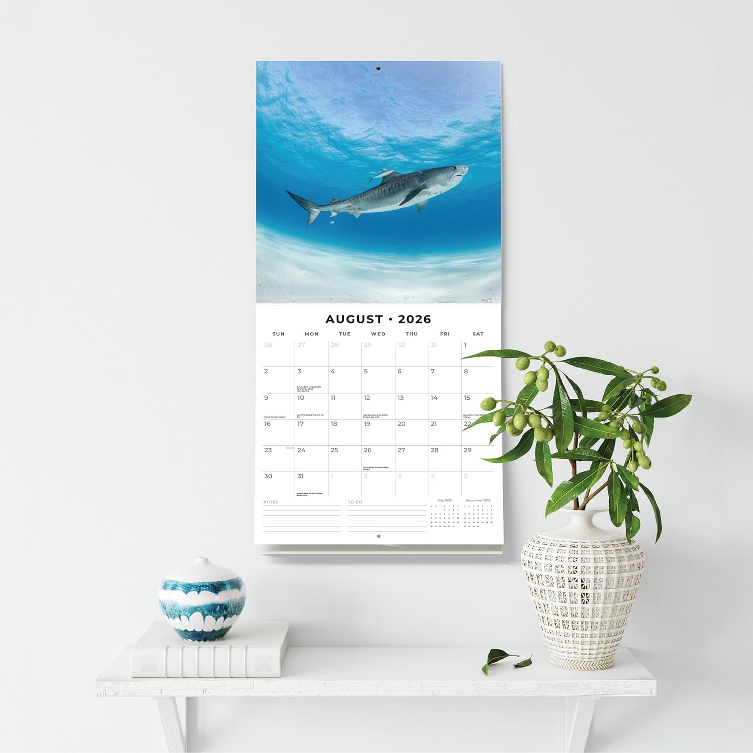Red Robin 2026 Sharks Monthly Wall Calendar | 12" x 24" Open | Premium Thick & Sturdy Paper | Hangable 12 Month Calendar | Lined Notes & To Do Area | Vivid Images | Plastic Free