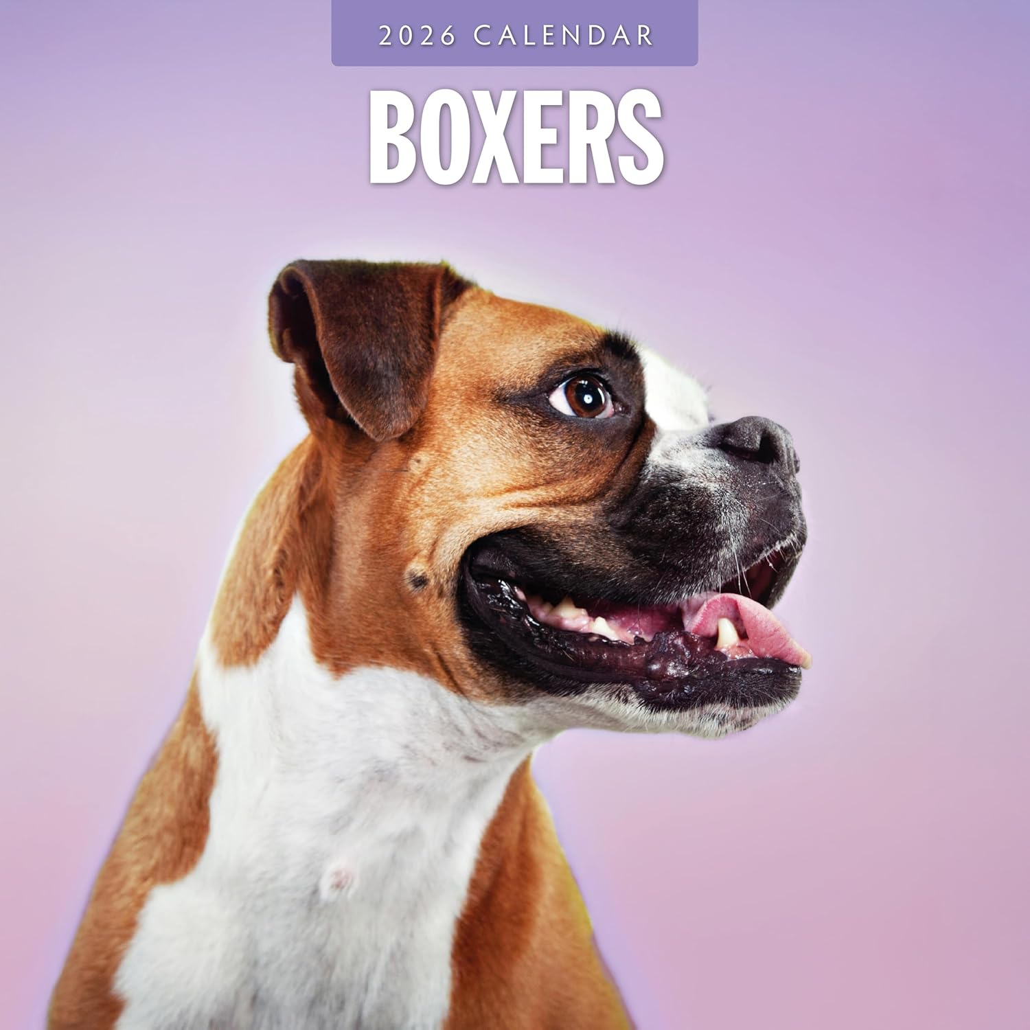 Red Robin 2026 Boxers Monthly Wall Calendar | 12" x 24" Open | Premium Thick & Sturdy Paper | Hangable 12 Month Calendar | Lined Notes & To Do Area | Vivid Images | Plastic Free