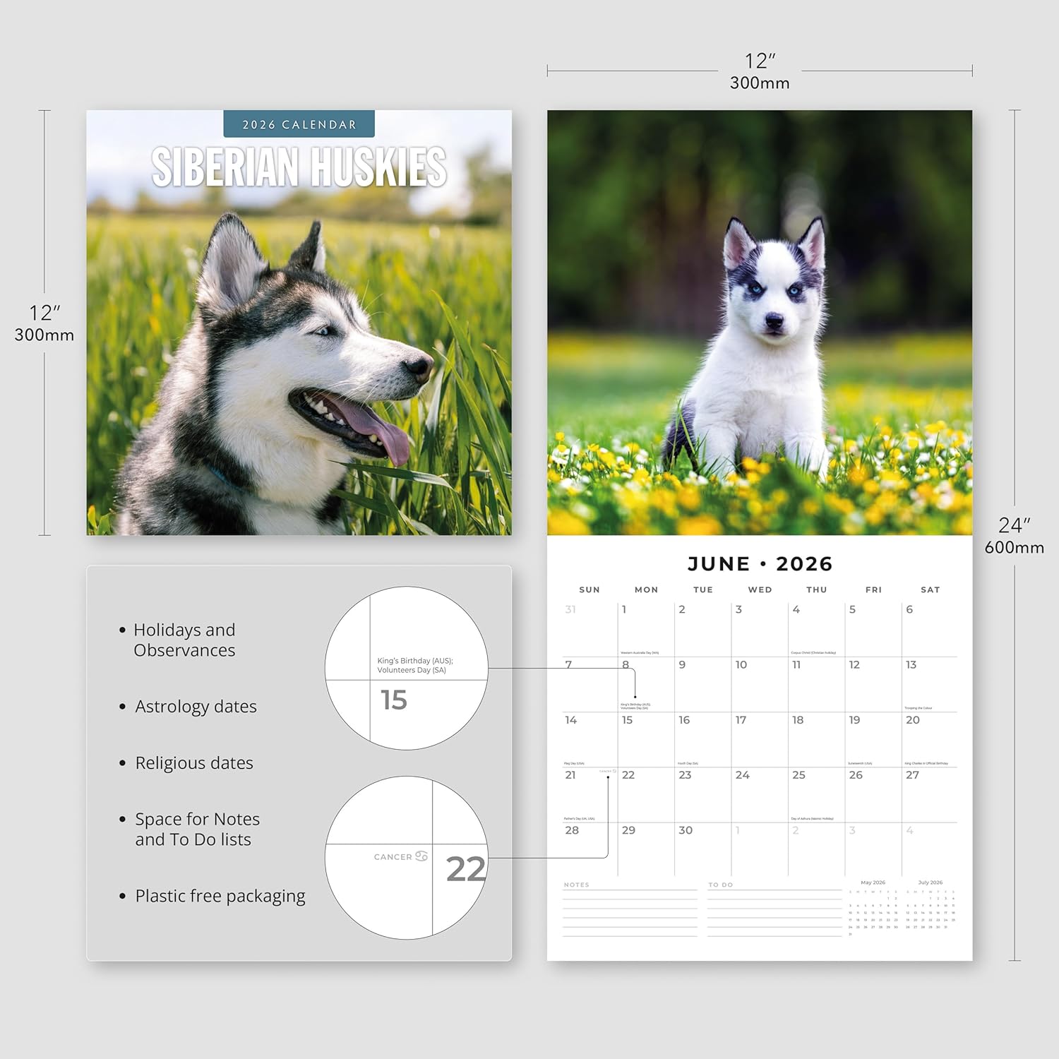 Red Robin 2026 Siberian Huskies Monthly Wall Calendar | 12" x 24" Open | Premium Thick & Sturdy Paper | Hangable 12 Month Calendar | Lined Notes & To Do Area | Vivid Images | Plastic Free