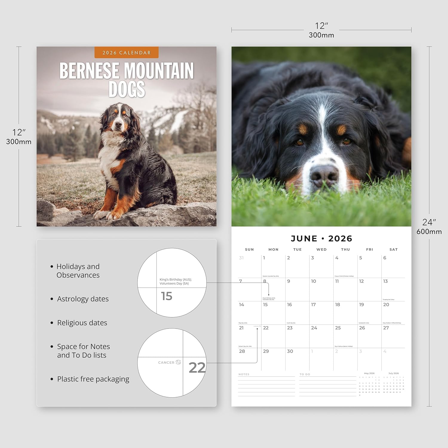 Red Robin 2026 Bernese Mountain Dogs Monthly Wall Calendar | 12" x 24" Open | Premium Thick & Sturdy Paper | Hangable 12 Month Calendar | Lined Notes & To Do Area | Vivid Images | Plastic Free