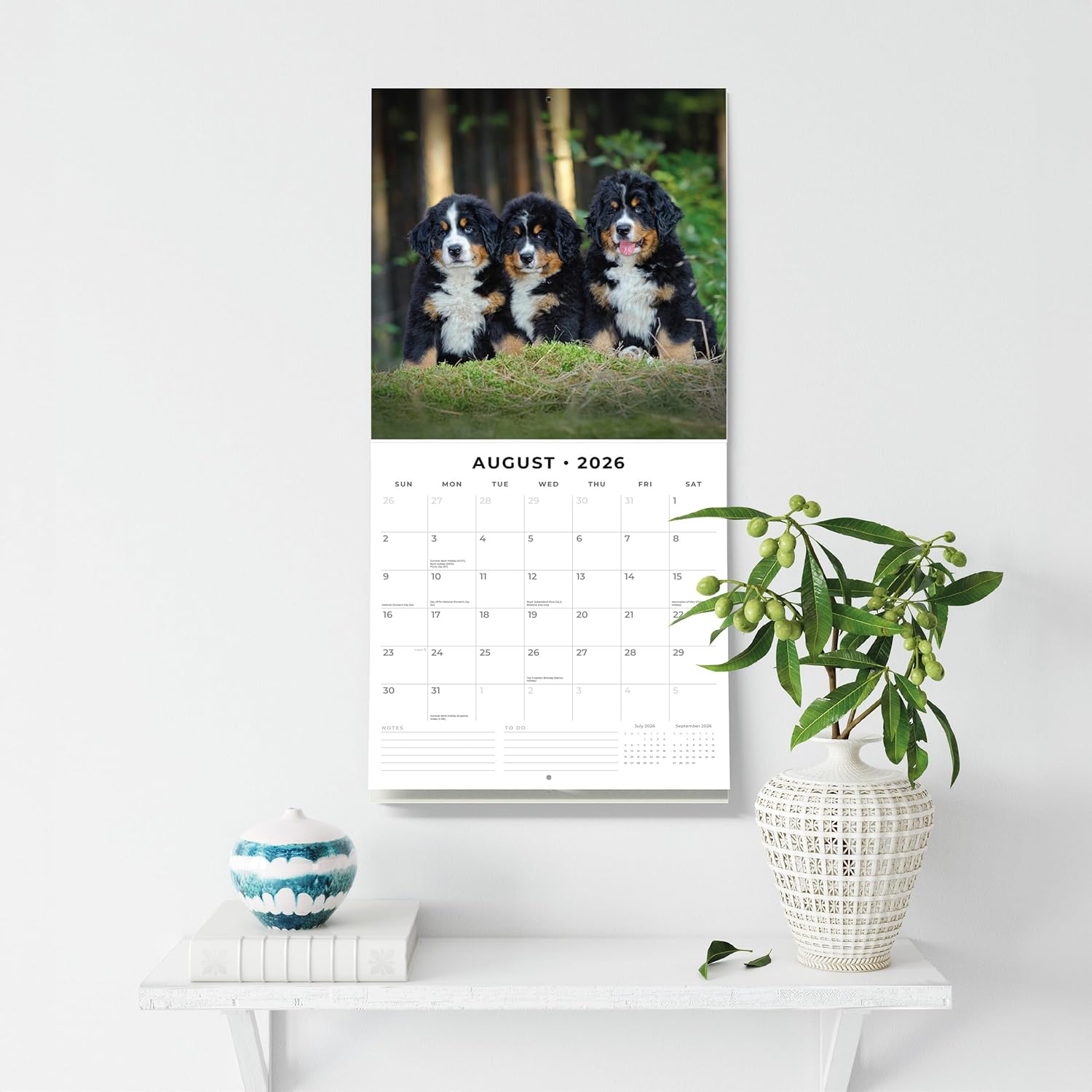 Red Robin 2026 Bernese Mountain Dogs Monthly Wall Calendar | 12" x 24" Open | Premium Thick & Sturdy Paper | Hangable 12 Month Calendar | Lined Notes & To Do Area | Vivid Images | Plastic Free