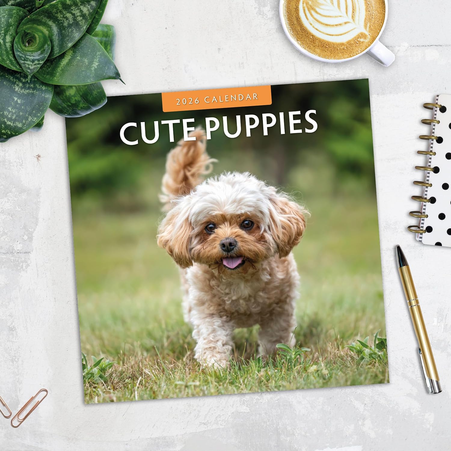 Red Robin 2026 Cute Puppies Monthly Wall Calendar | 12" x 24" Open | Premium Thick & Sturdy Paper | Hangable 12 Month Calendar | Lined Notes & To Do Area | Vivid Images | Plastic Free