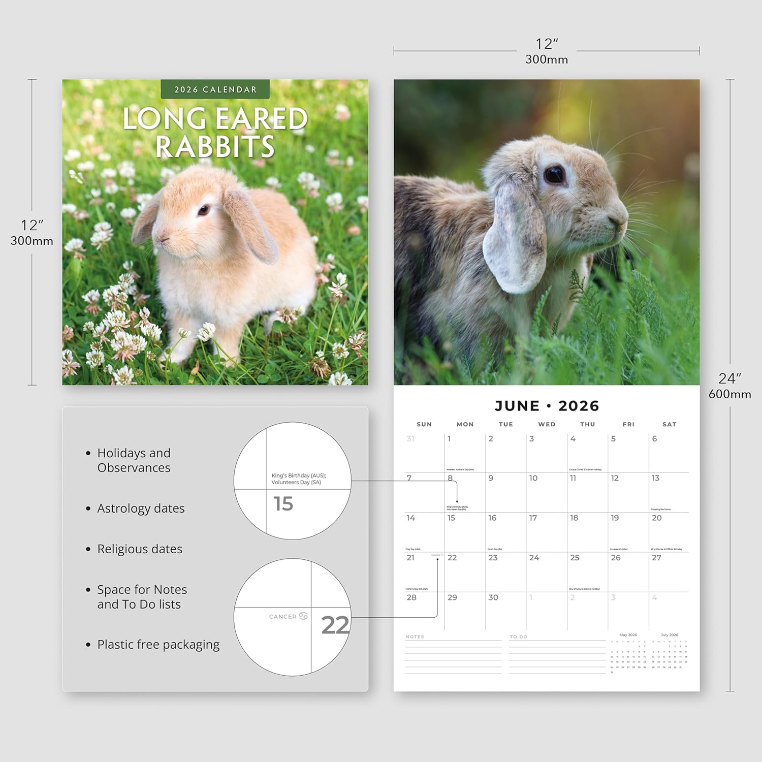 Red Robin 2026 Long Eared Rabbits Monthly Wall Calendar | 12" x 24" Open | Premium Thick & Sturdy Paper | Hangable 12 Month Calendar | Lined Notes & To Do Area | Vivid Images | Plastic Free