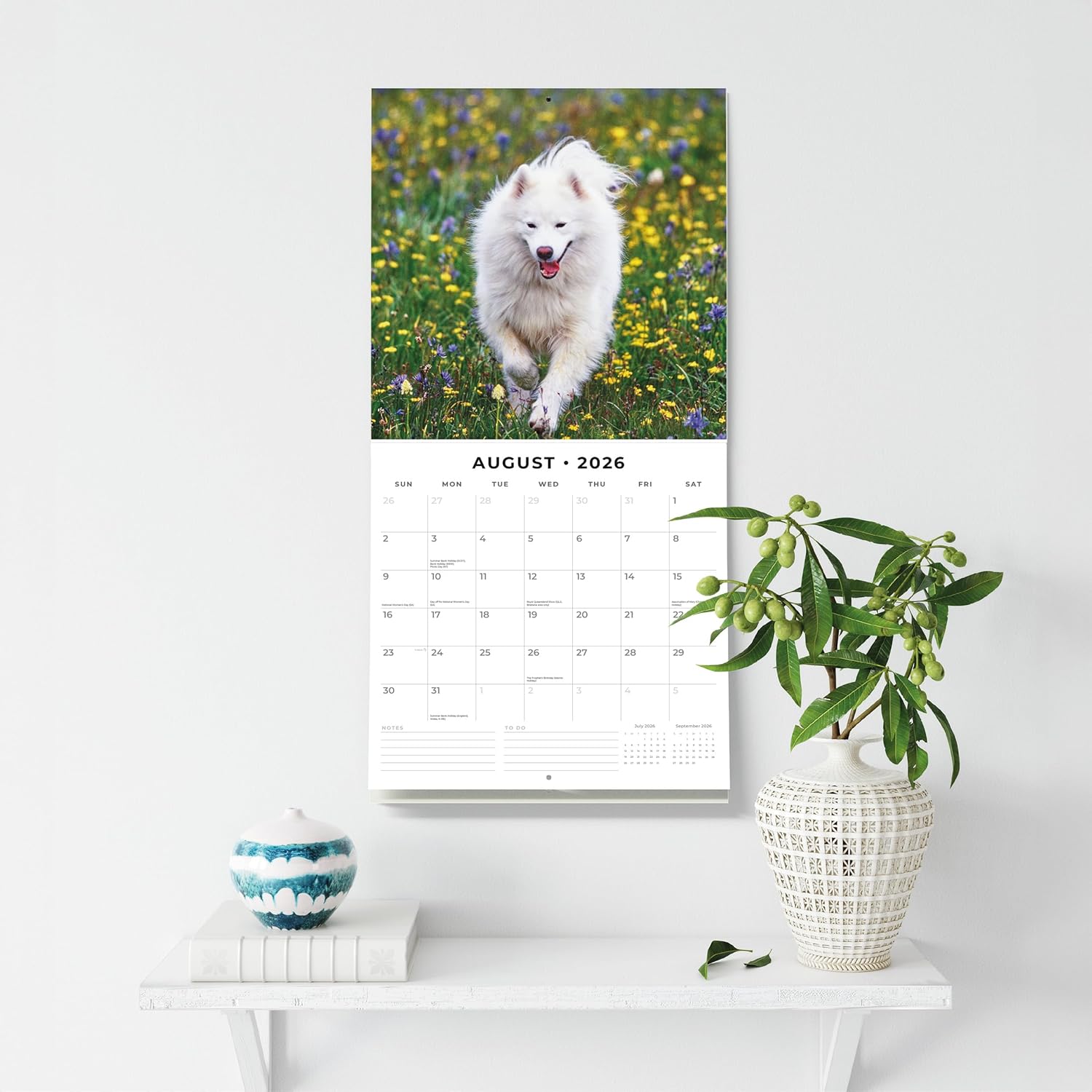 Red Robin 2026 Samoyeds Monthly Wall Calendar | 12" x 24" Open | Premium Thick & Sturdy Paper | Hangable 12 Month Calendar | Lined Notes & To Do Area | Vivid Images | Plastic Free