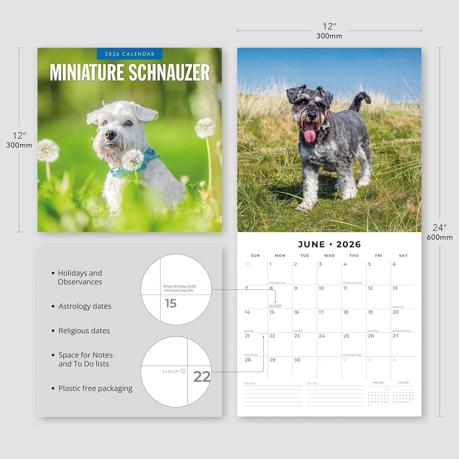 Red Robin 2026 Miniature Schnauzers Monthly Wall Calendar | 12" x 24" Open | Premium Thick & Sturdy Paper | Hangable 12 Month Calendar | Lined Notes & To Do Area | Vivid Images | Plastic Free