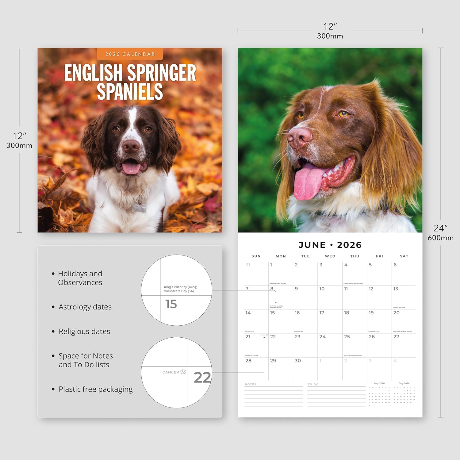 Red Robin 2026 English Springer Spaniels Monthly Wall Calendar | 12" x 24" Open | Premium Thick & Sturdy Paper | Hangable 12 Month Calendar | Lined Notes & To Do Area | Vivid Images | Plastic Free