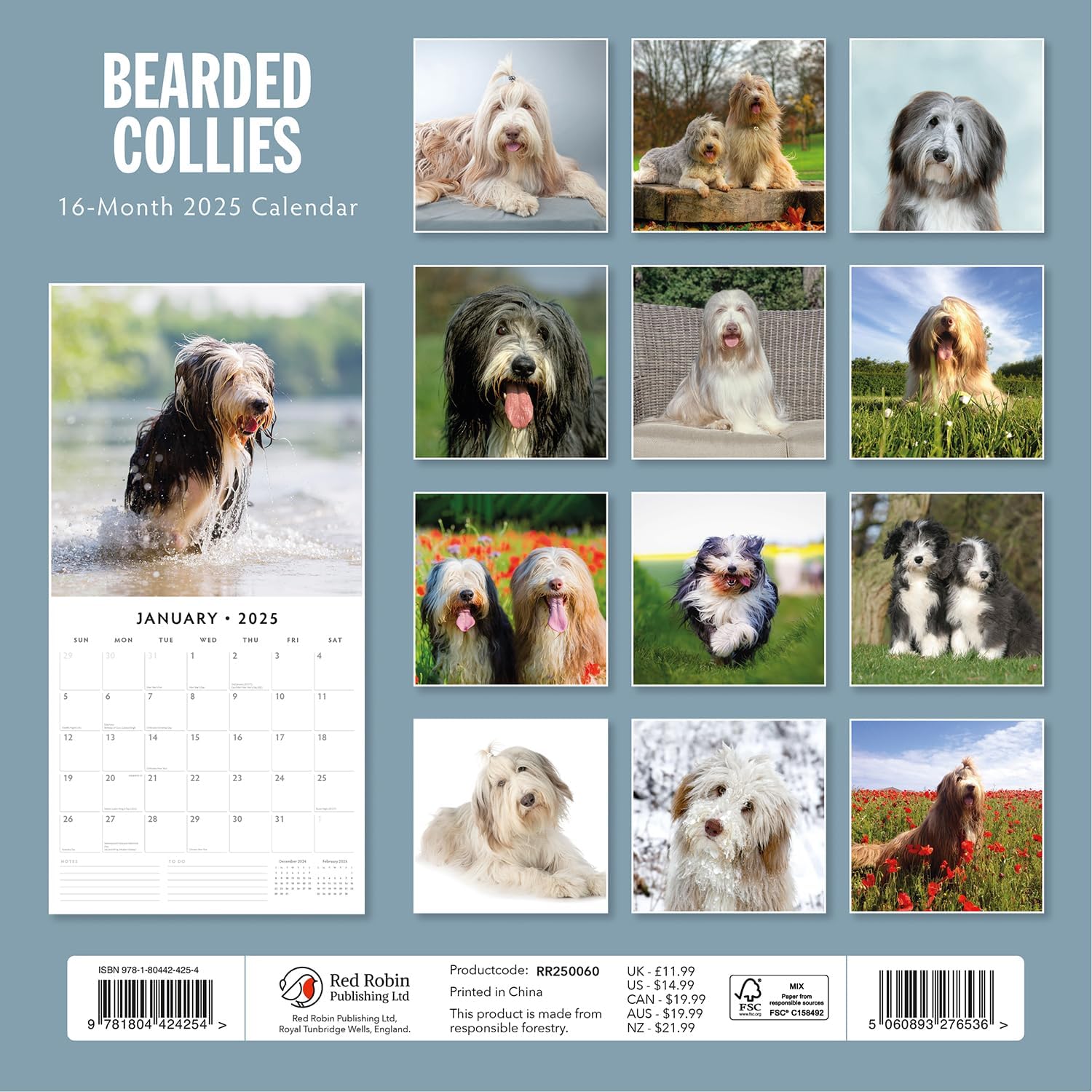 Red Robin 2025 Bearded Collies Monthly Wall Calendar | 12" x 24" Open | Premium Thick & Sturdy Paper | Hangable 12 Month Calendar | Plastic Free | 4 Month Transition Page for 2024