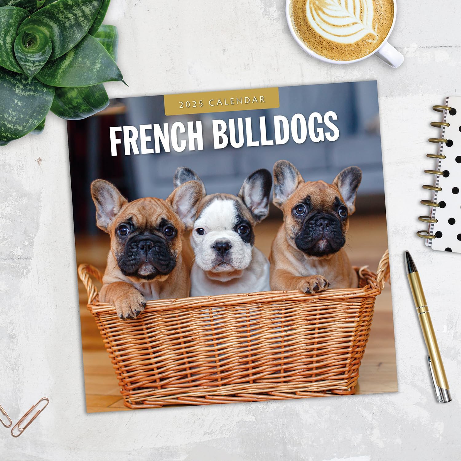 Red Robin 2025 French Bulldogs Monthly Wall Calendar | 12" x 24" Open | Premium Thick & Sturdy Paper | Hangable 12 Month Calendar | Plastic Free | 4 Month Transition Page for 2024