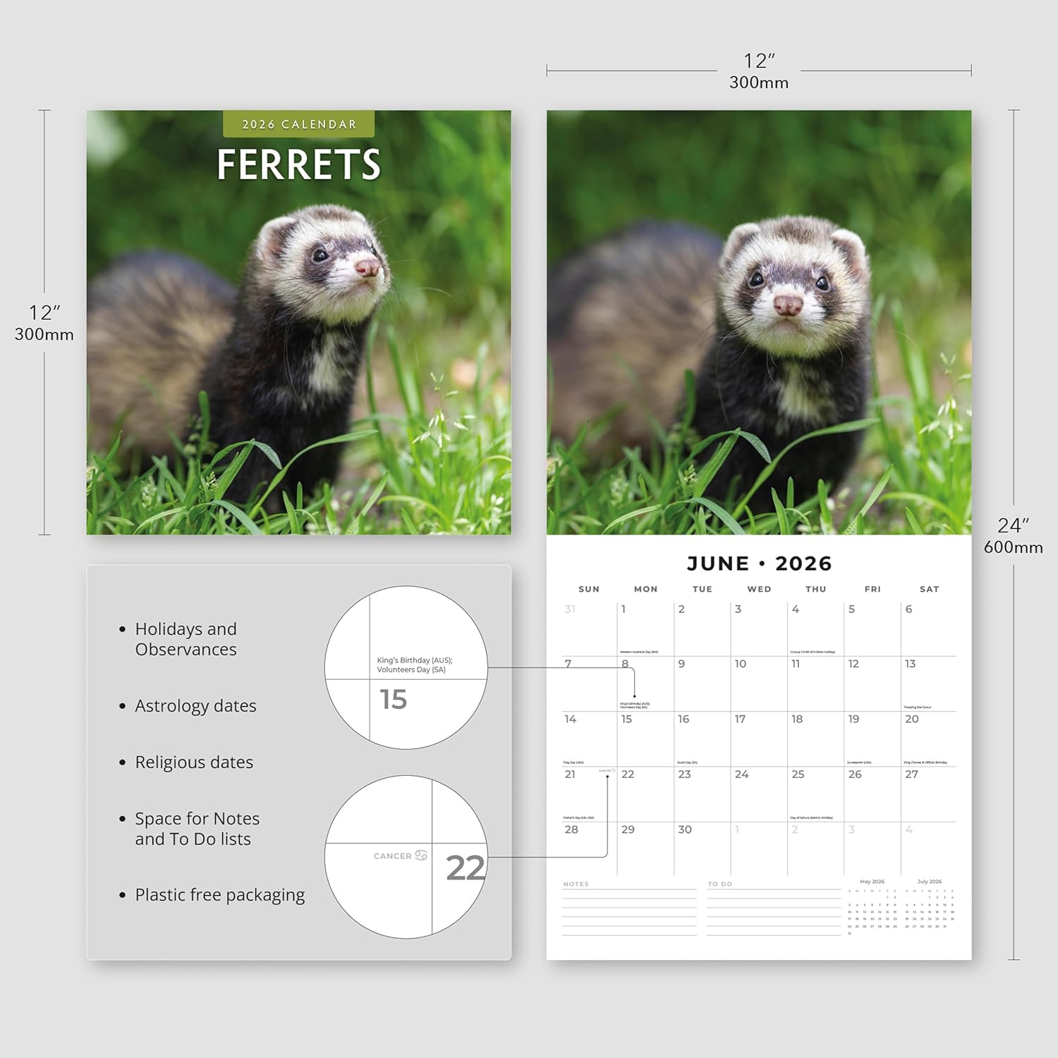 Red Robin 2026 Ferrets Monthly Wall Calendar | 12" x 24" Open | Premium Thick & Sturdy Paper | Hangable 12 Month Calendar | Lined Notes & To Do Area | Vivid Images | Plastic Free
