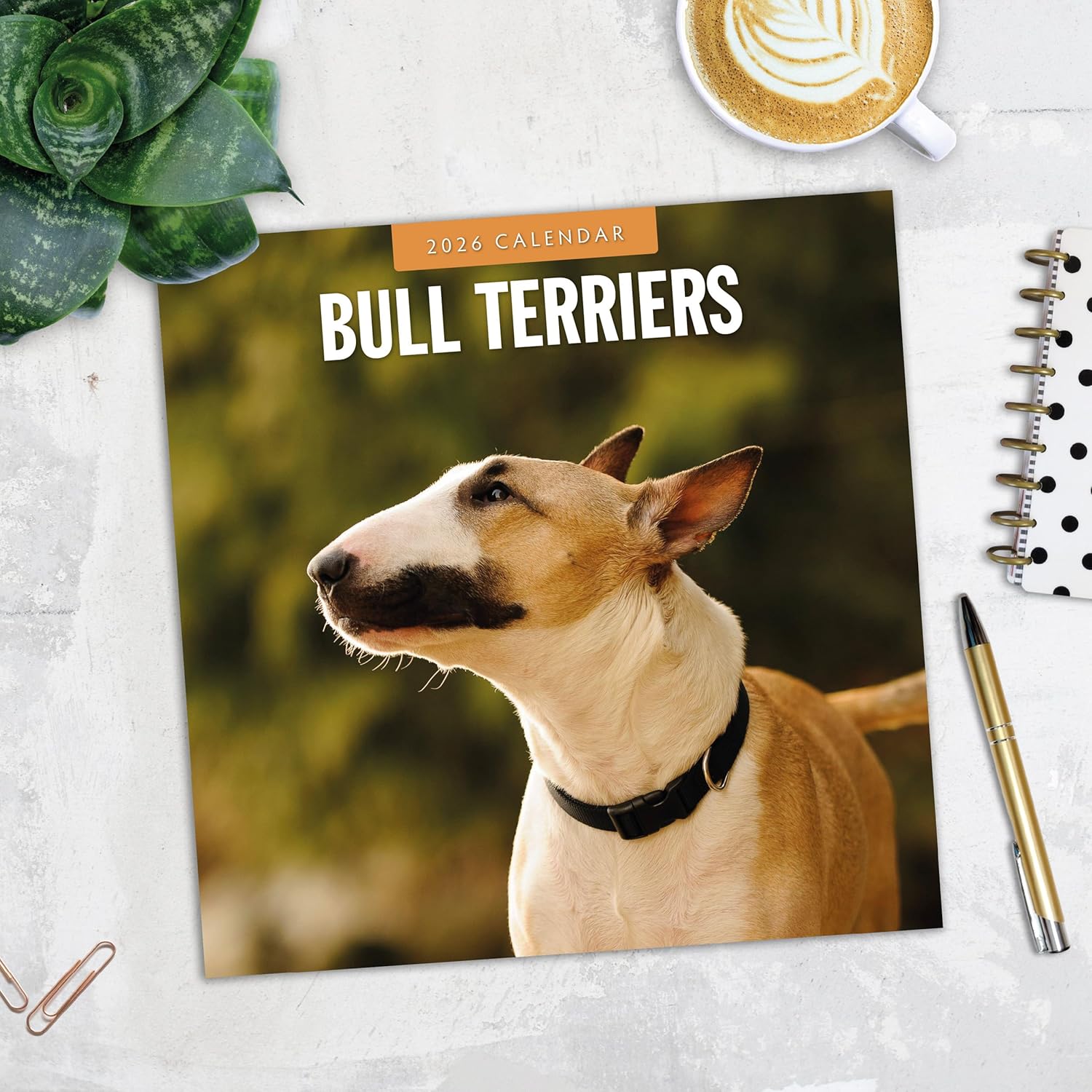 Red Robin 2026 Bull Terriers Monthly Wall Calendar | 12" x 24" Open | Premium Thick & Sturdy Paper | Hangable 12 Month Calendar | Lined Notes & To Do Area | Vivid Images | Plastic Free