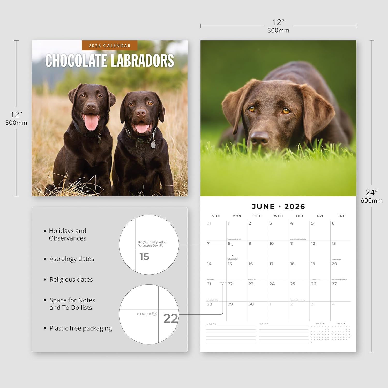 Red Robin 2026 Chocolate Labradors Monthly Wall Calendar | 12" x 24" Open | Premium Thick & Sturdy Paper | Hangable 12 Month Calendar | Lined Notes & To Do Area | Vivid Images | Plastic Free