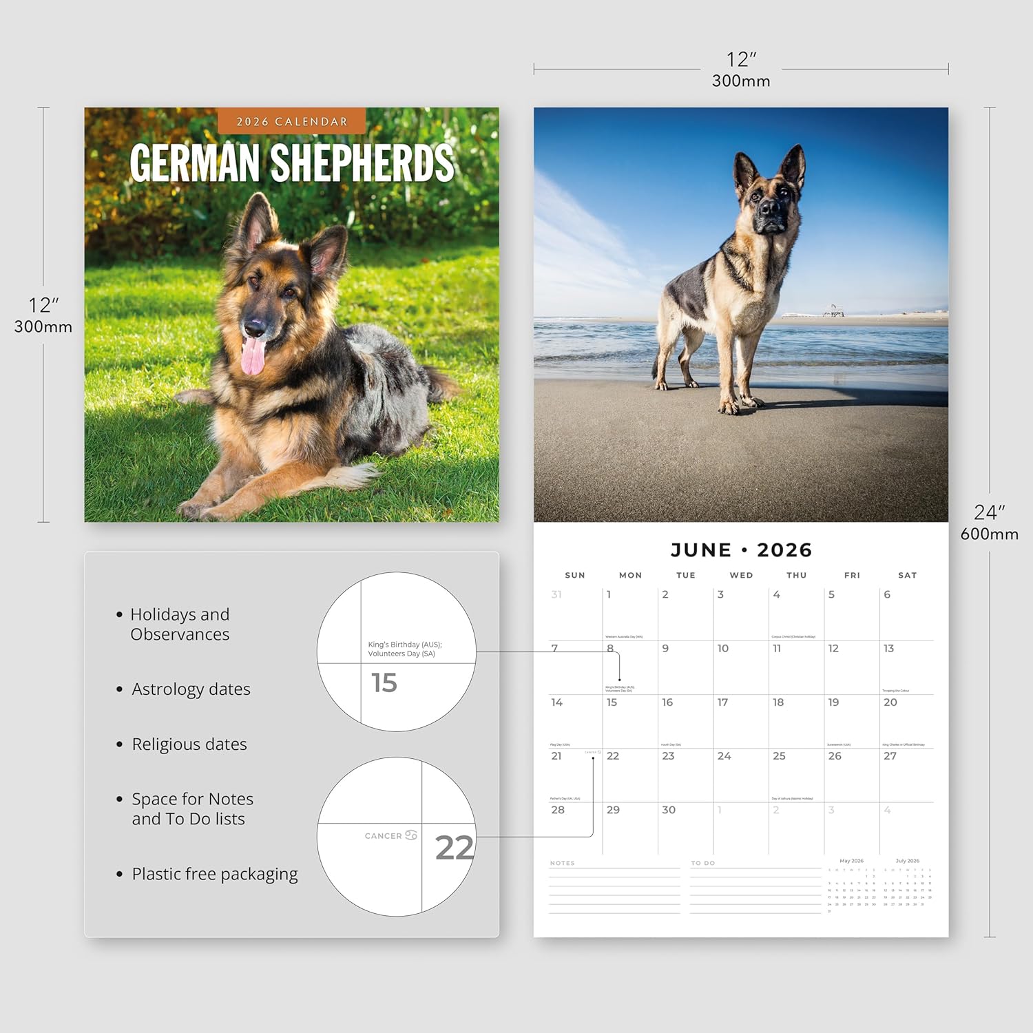 Red Robin 2026 German Shepherds Monthly Wall Calendar | 12" x 24" Open | Premium Thick & Sturdy Paper | Hangable 12 Month Calendar | Lined Notes & To Do Area | Vivid Images | Plastic Free