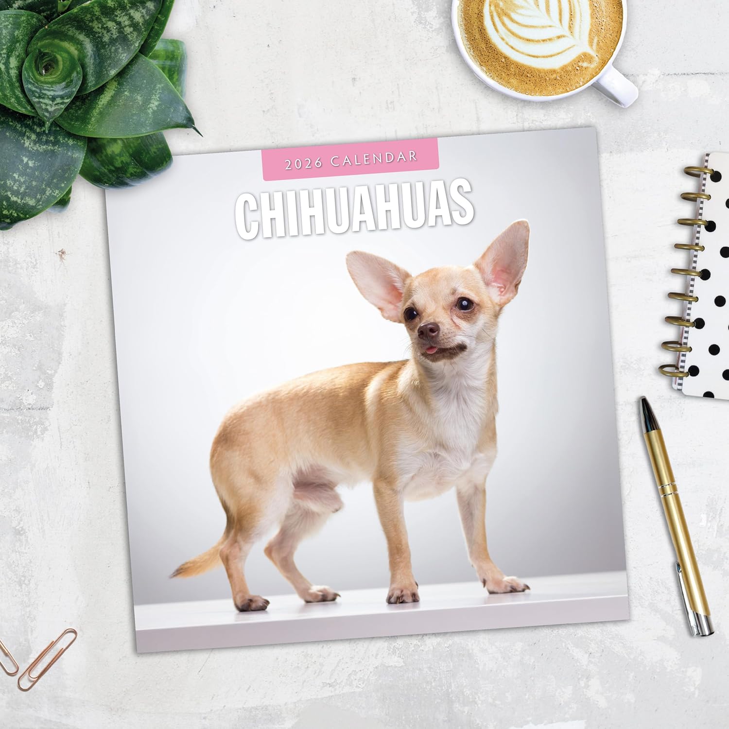 Red Robin 2026 Chihuahuas Monthly Wall Calendar | 12" x 24" Open | Premium Thick & Sturdy Paper | Hangable 12 Month Calendar | Lined Notes & To Do Area | Vivid Images | Plastic Free