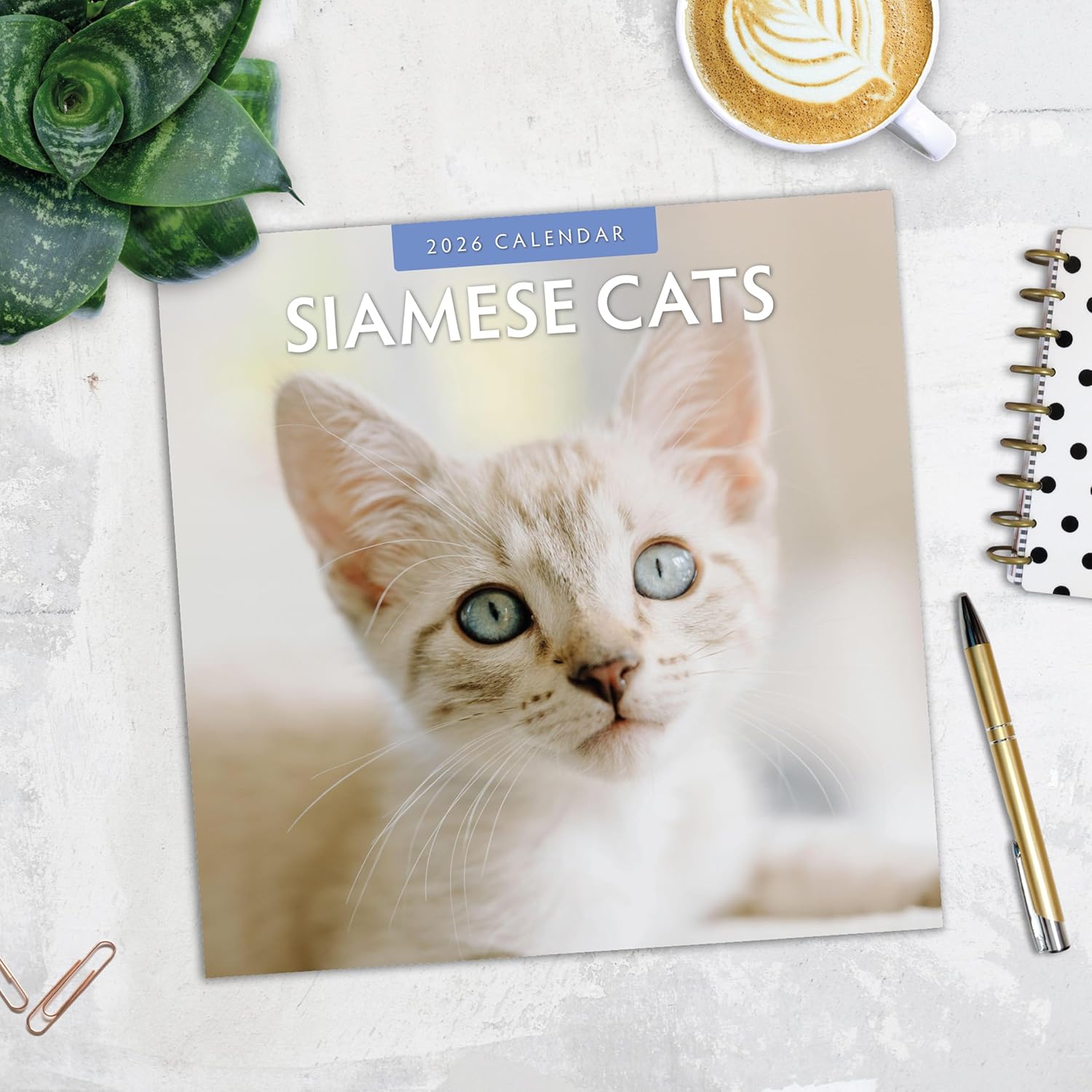 Red Robin 2026 Siamese Cats Monthly Wall Calendar | 12" x 24" Open | Premium Thick & Sturdy Paper | Hangable 12 Month Calendar | Lined Notes & To Do Area | Vivid Images | Plastic Free
