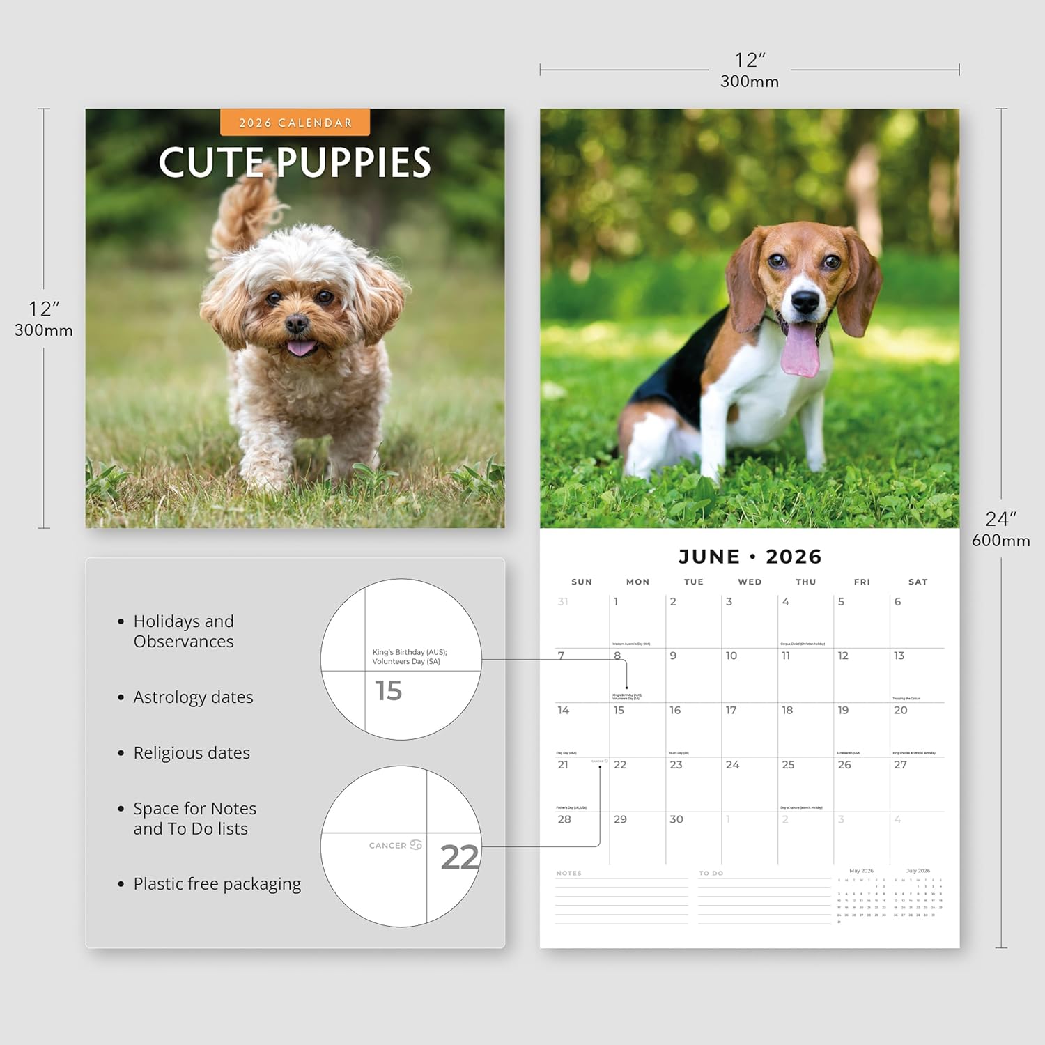 Red Robin 2026 Cute Puppies Monthly Wall Calendar | 12" x 24" Open | Premium Thick & Sturdy Paper | Hangable 12 Month Calendar | Lined Notes & To Do Area | Vivid Images | Plastic Free