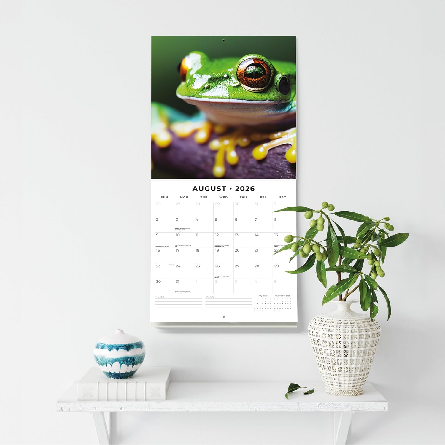 Red Robin 2026 Frogs Monthly Wall Calendar | 12" x 24" Open | Premium Thick & Sturdy Paper | Hangable 12 Month Calendar | Lined Notes & To Do Area | Vivid Images | Plastic Free