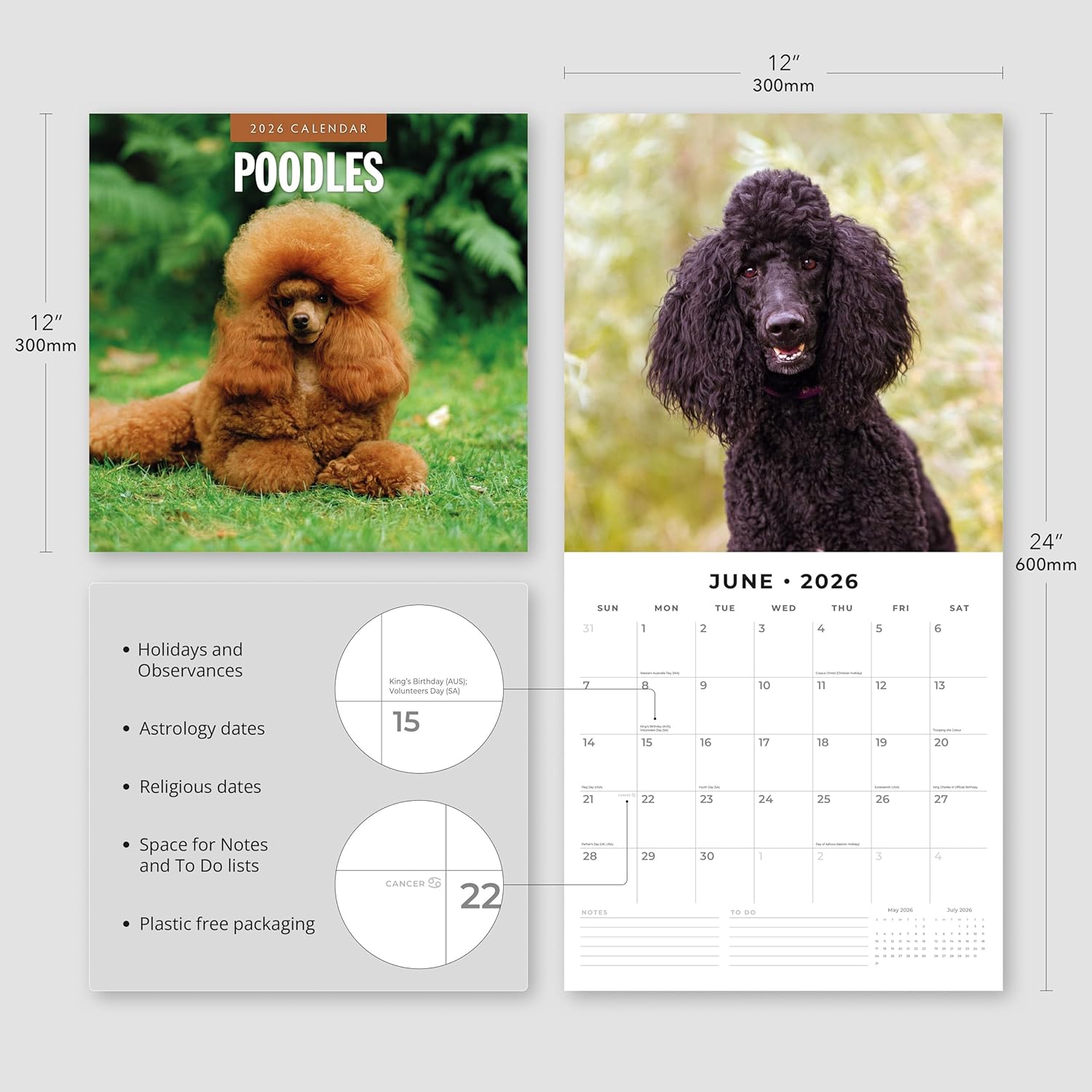 Red Robin 2026 Poodles Monthly Wall Calendar | 12" x 24" Open | Premium Thick & Sturdy Paper | Hangable 12 Month Calendar | Lined Notes & To Do Area | Vivid Images | Plastic Free