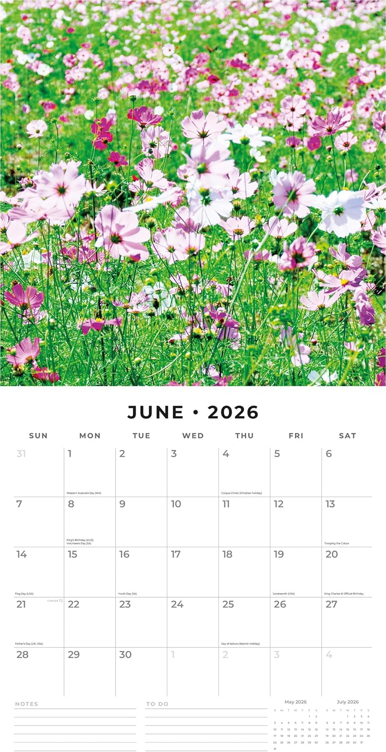 Red Robin 2026 Wild Flowers Monthly Wall Calendar | 12" x 24" Open | Premium Thick & Sturdy Paper | Hangable 12 Month Calendar | Lined Notes & To Do Area | Vivid Images | Plastic Free