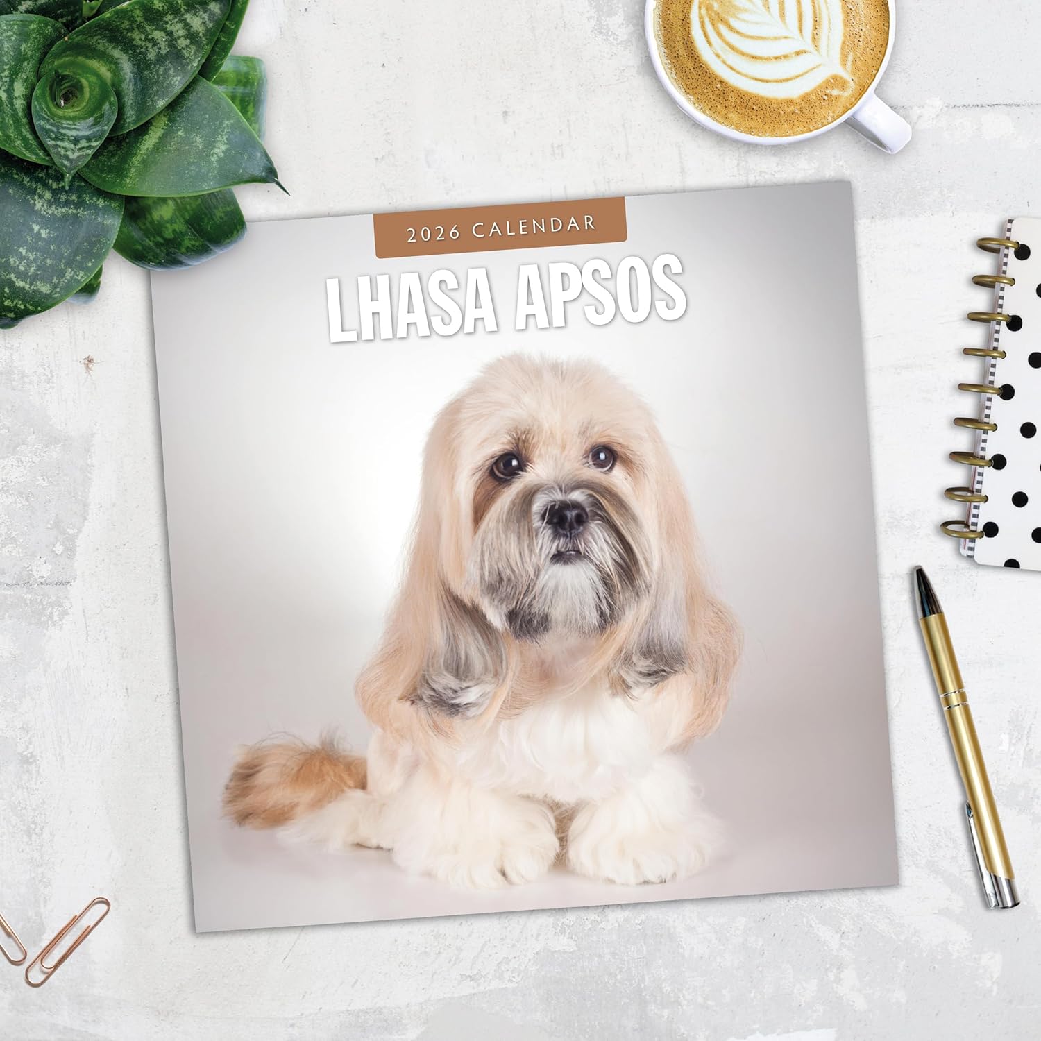 Red Robin 2026 Lhasa Apsos Monthly Wall Calendar | 12" x 24" Open | Premium Thick & Sturdy Paper | Hangable 12 Month Calendar | Lined Notes & To Do Area | Vivid Images | Plastic Free