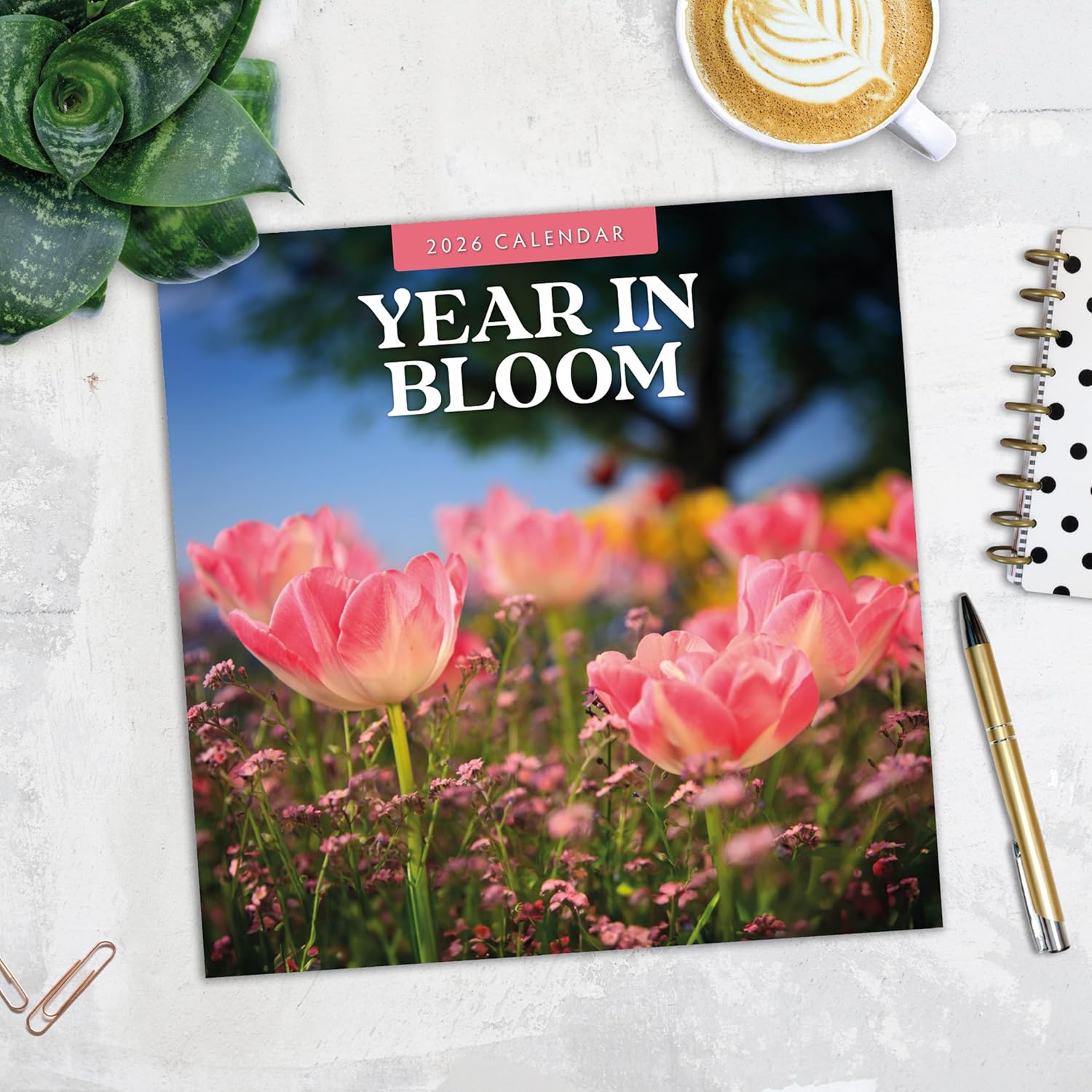 Red Robin 2026 Year in Bloom Monthly Wall Calendar | 12" x 24" Open | Premium Thick & Sturdy Paper | Hangable 12 Month Calendar | Lined Notes & To Do Area | Vivid Images | Plastic Free