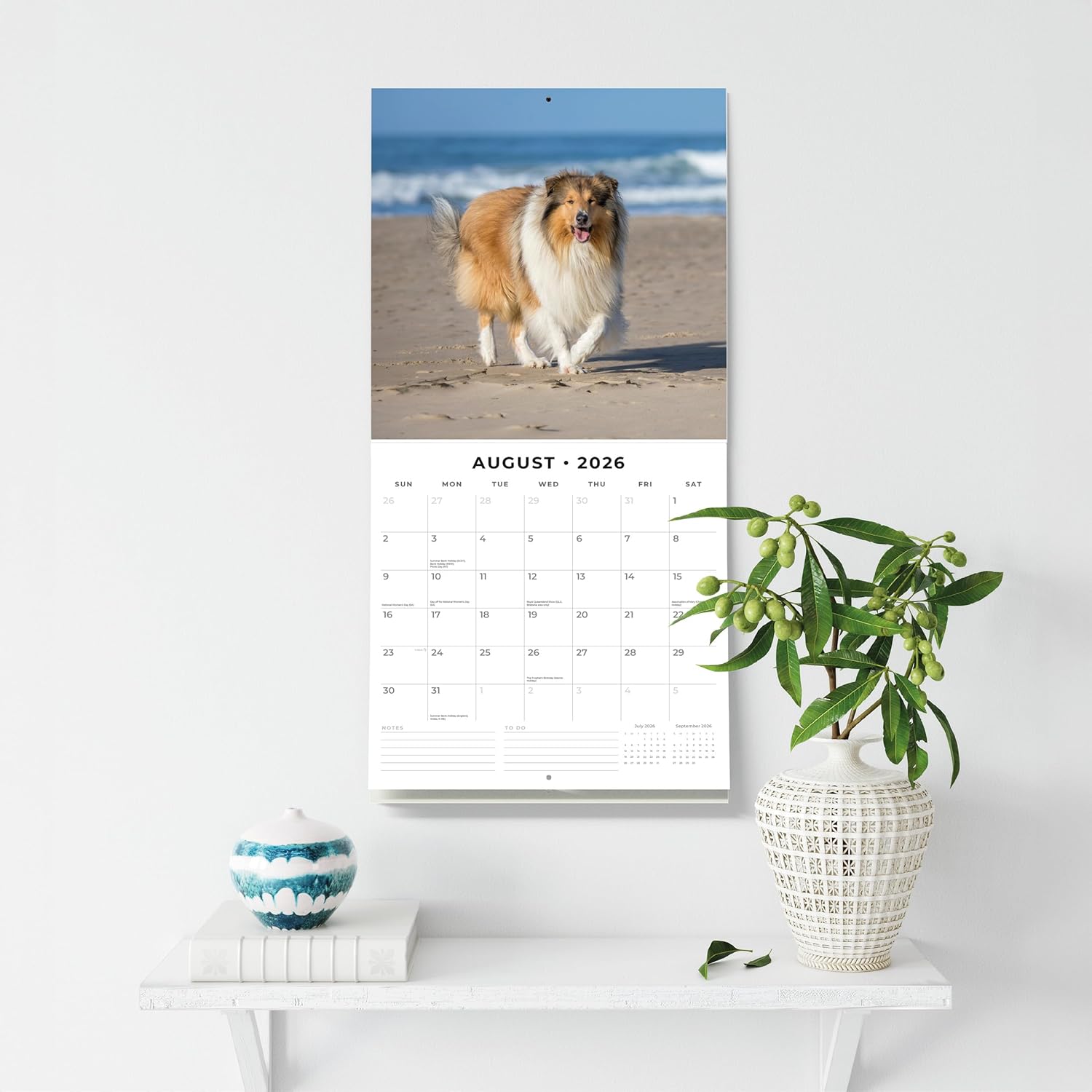 Red Robin 2026 Collies Monthly Wall Calendar | 12" x 24" Open | Premium Thick & Sturdy Paper | Hangable 12 Month Calendar | Lined Notes & To Do Area | Vivid Images | Plastic Free
