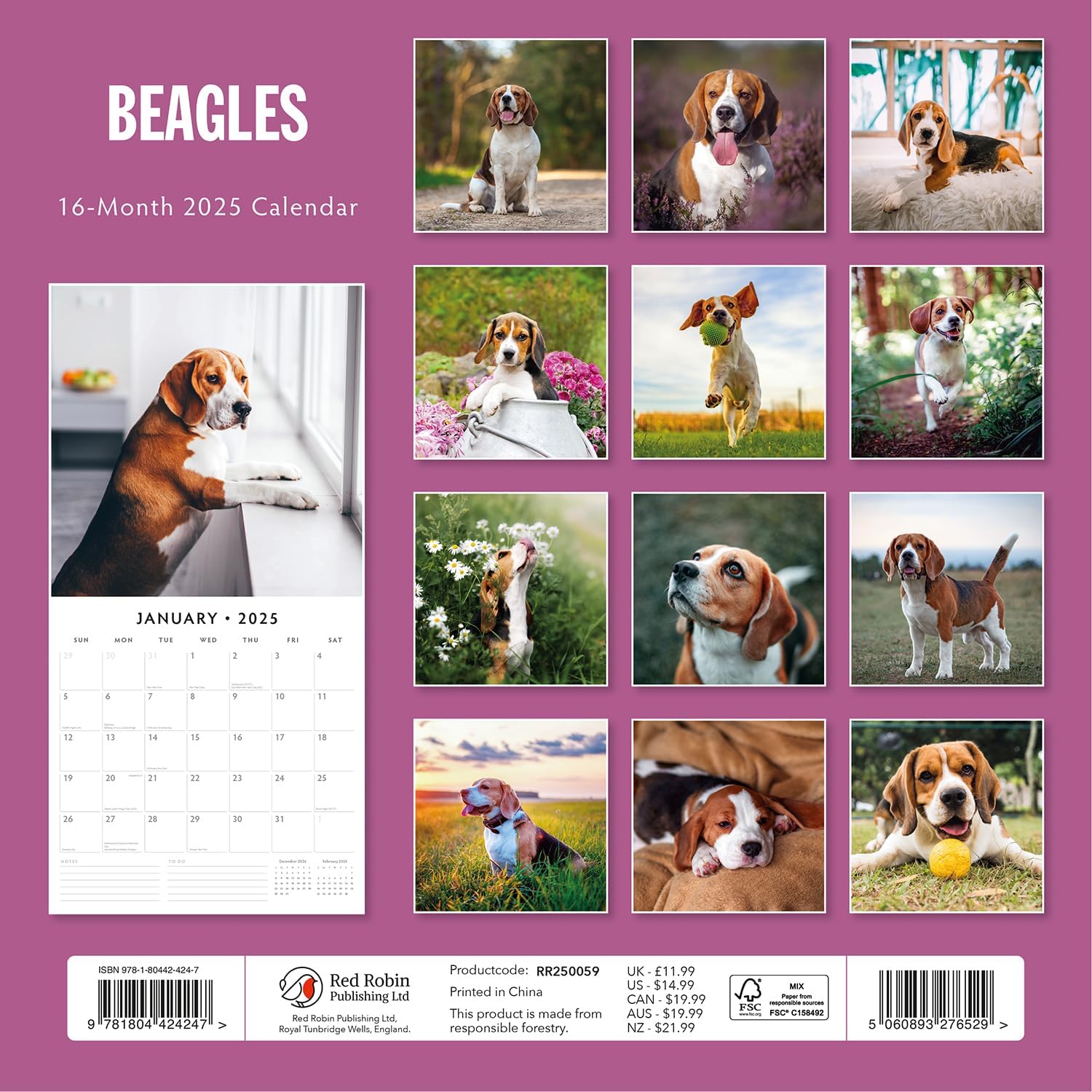 Red Robin 2025 Beagles Monthly Wall Calendar | 12" x 24" Open | Premium Thick & Sturdy Paper | Hangable 12 Month Calendar | Plastic Free | 4 Month Transition Page for 2024