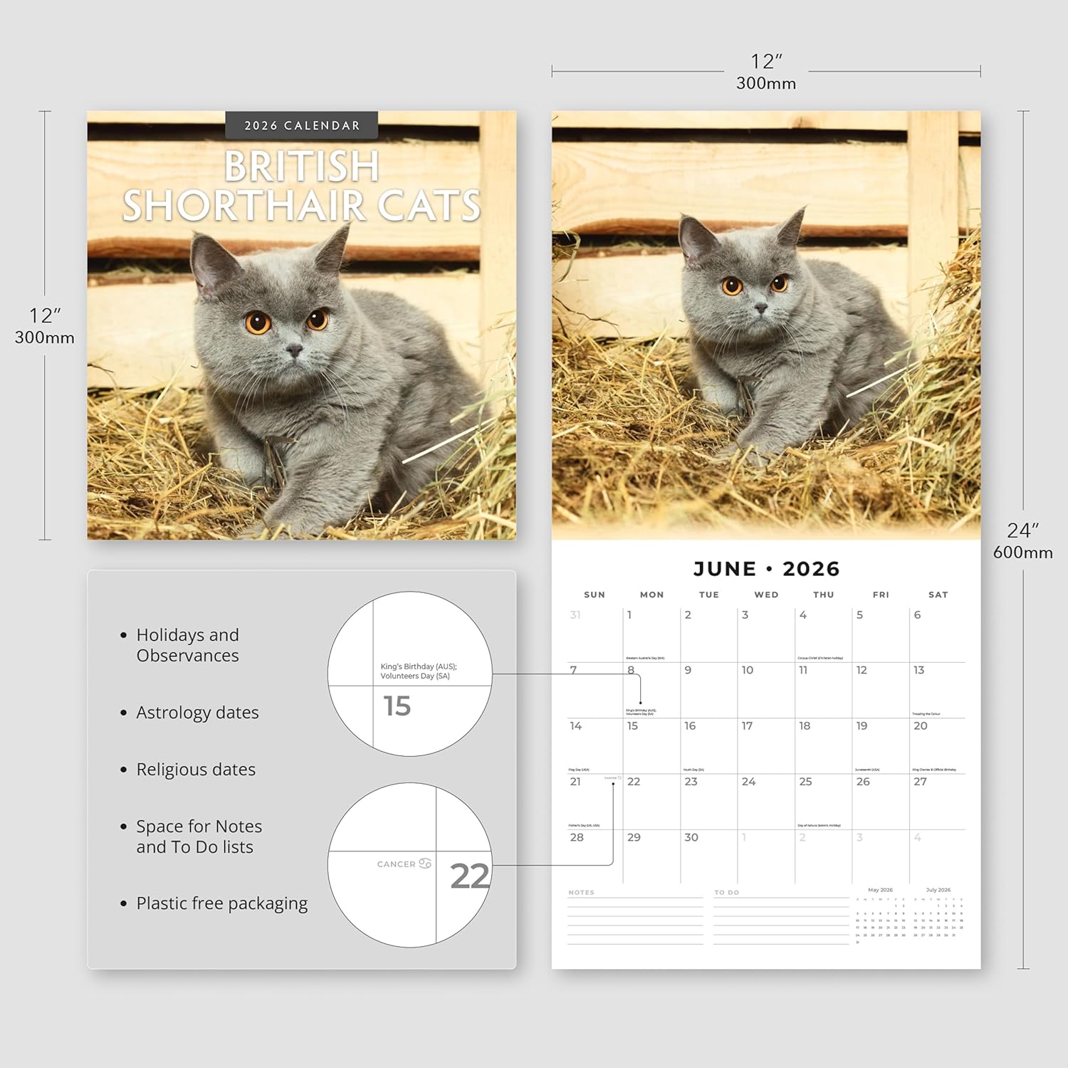 Red Robin 2026 British Shorthair Cats Monthly Wall Calendar | 12" x 24" Open | Premium Thick & Sturdy Paper | Hangable 12 Month Calendar | Lined Notes & To Do Area | Vivid Images | Plastic Free