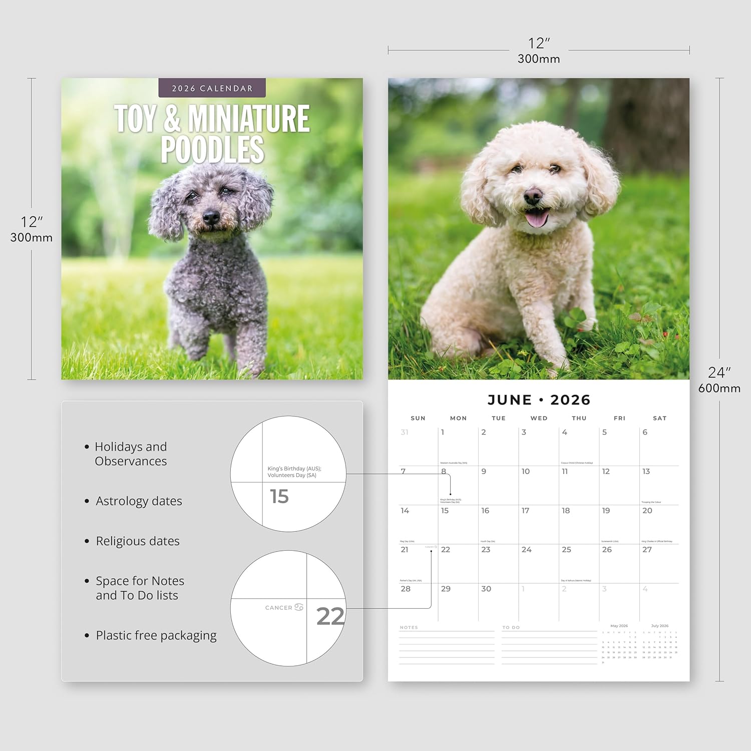 Red Robin 2026 Toy and Miniature Poodles Monthly Wall Calendar | 12" x 24" Open | Premium Thick & Sturdy Paper | Hangable 12 Month Calendar | Lined Notes & To Do Area | Vivid Images | Plastic Free