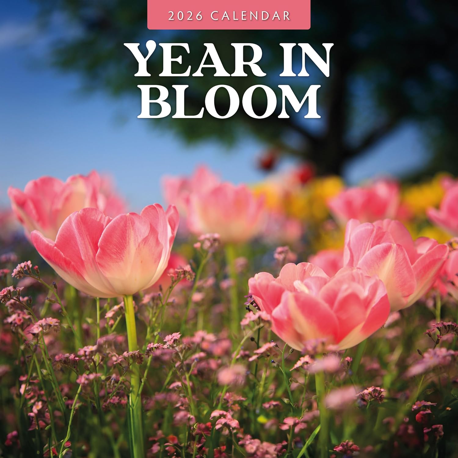 Red Robin 2026 Year in Bloom Monthly Wall Calendar | 12" x 24" Open | Premium Thick & Sturdy Paper | Hangable 12 Month Calendar | Lined Notes & To Do Area | Vivid Images | Plastic Free
