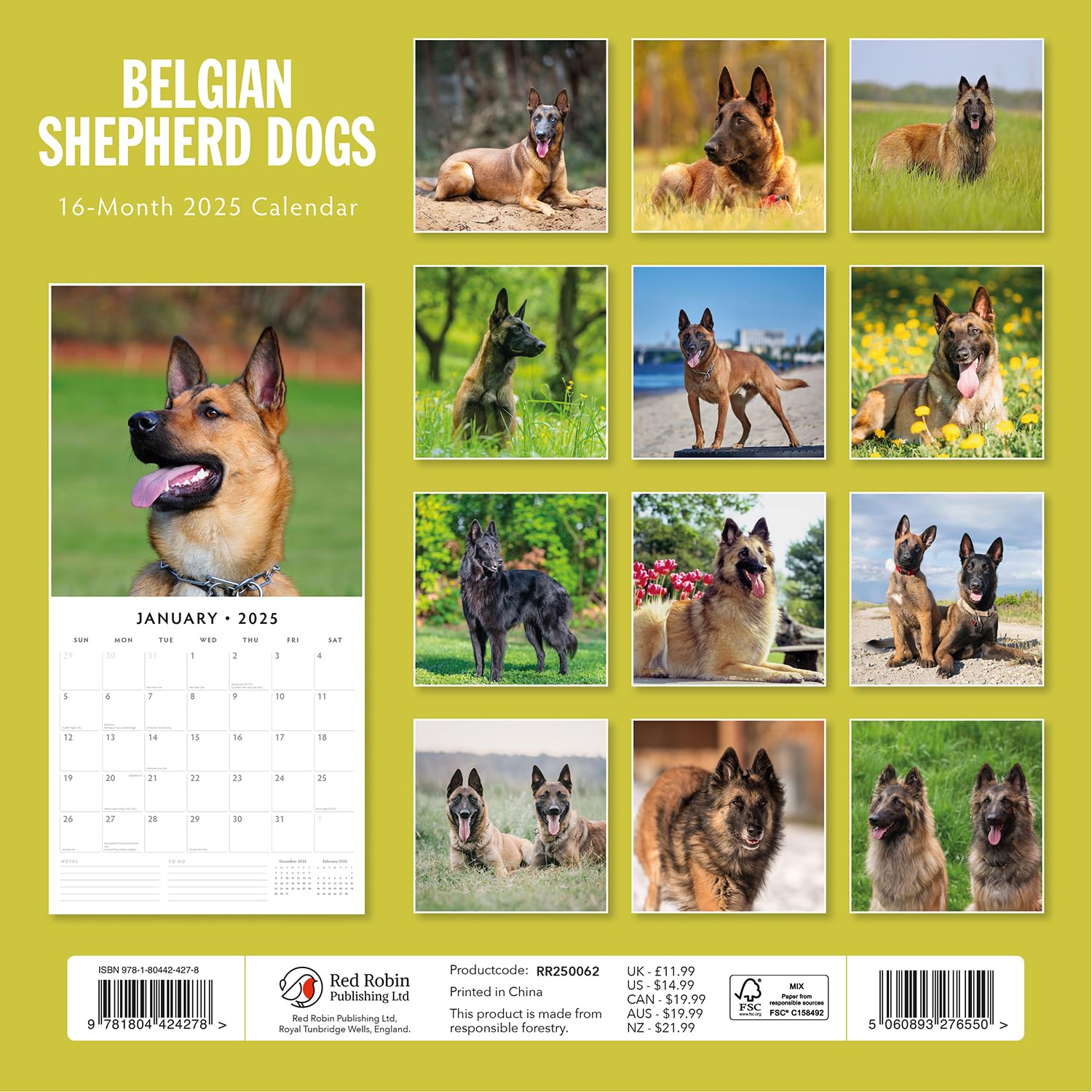 Red Robin 2025 Belgian Shepherd Dogs Monthly Wall Calendar | 12" x 24" Open | Premium Thick & Sturdy Paper | Hangable 12 Month Calendar | Plastic Free | 4 Month Transition Page for 2024