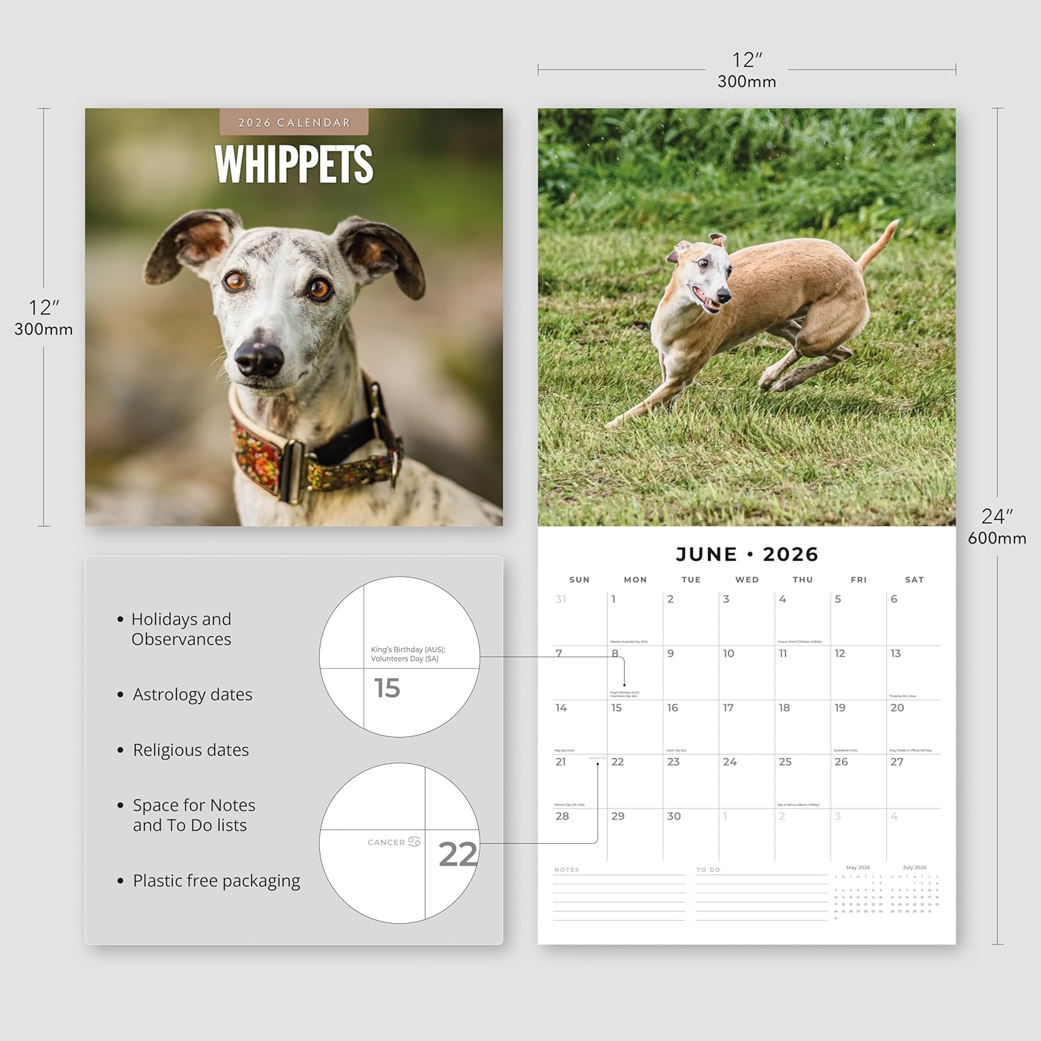 Red Robin 2026 Whippets Monthly Wall Calendar | 12" x 24" Open | Premium Thick & Sturdy Paper | Hangable 12 Month Calendar | Lined Notes & To Do Area | Vivid Images | Plastic Free