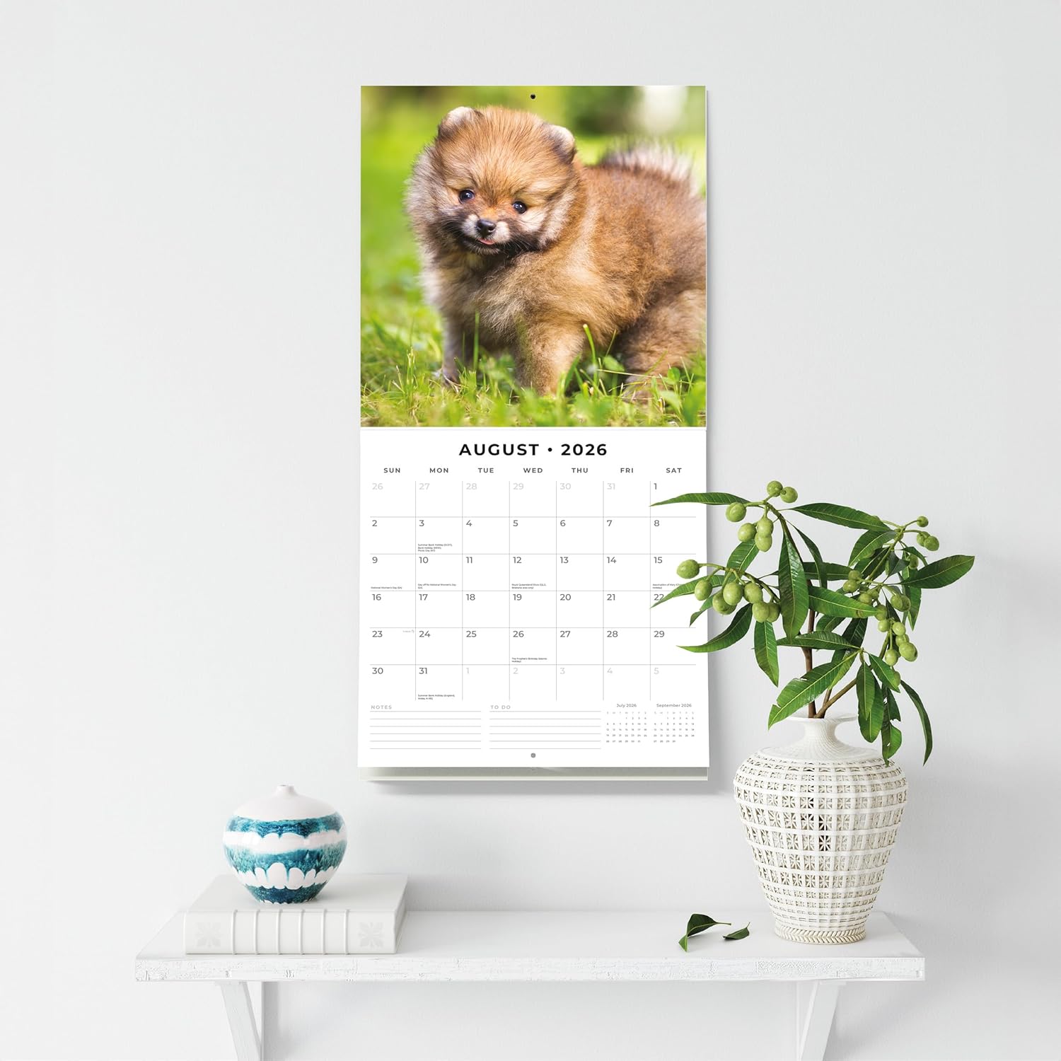 Red Robin 2026 Pomeranians Monthly Wall Calendar | 12" x 24" Open | Premium Thick & Sturdy Paper | Hangable 12 Month Calendar | Lined Notes & To Do Area | Vivid Images | Plastic Free