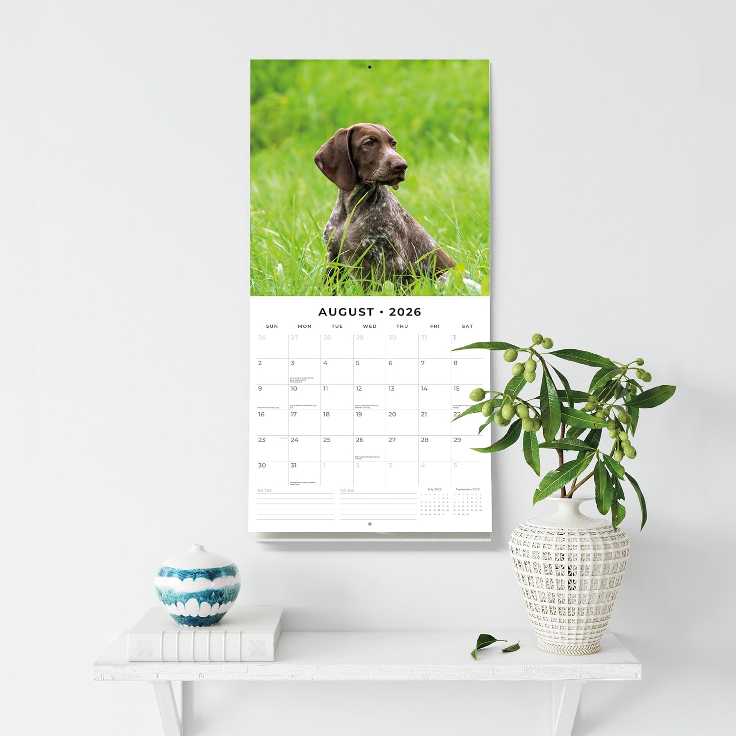 Red Robin 2026 German Shorthaired Pointers Monthly Wall Calendar | 12" x 24" Open | Premium Thick & Sturdy Paper | Hangable 12 Month Calendar | Lined Notes & To Do Area | Vivid Images | Plastic Free