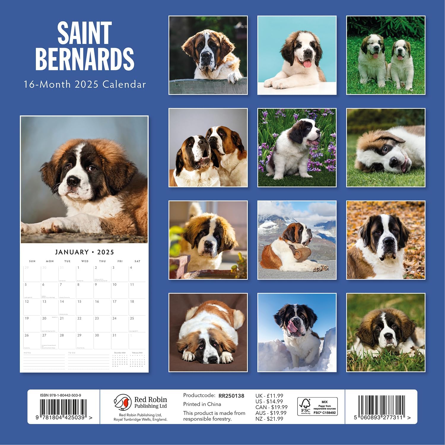 Red Robin 2025 Saint Bernards Monthly Wall Calendar | 12" x 24" Open | Premium Thick & Sturdy Paper | Hangable 12 Month Calendar | Plastic Free | 4 Month Transition Page for 2024