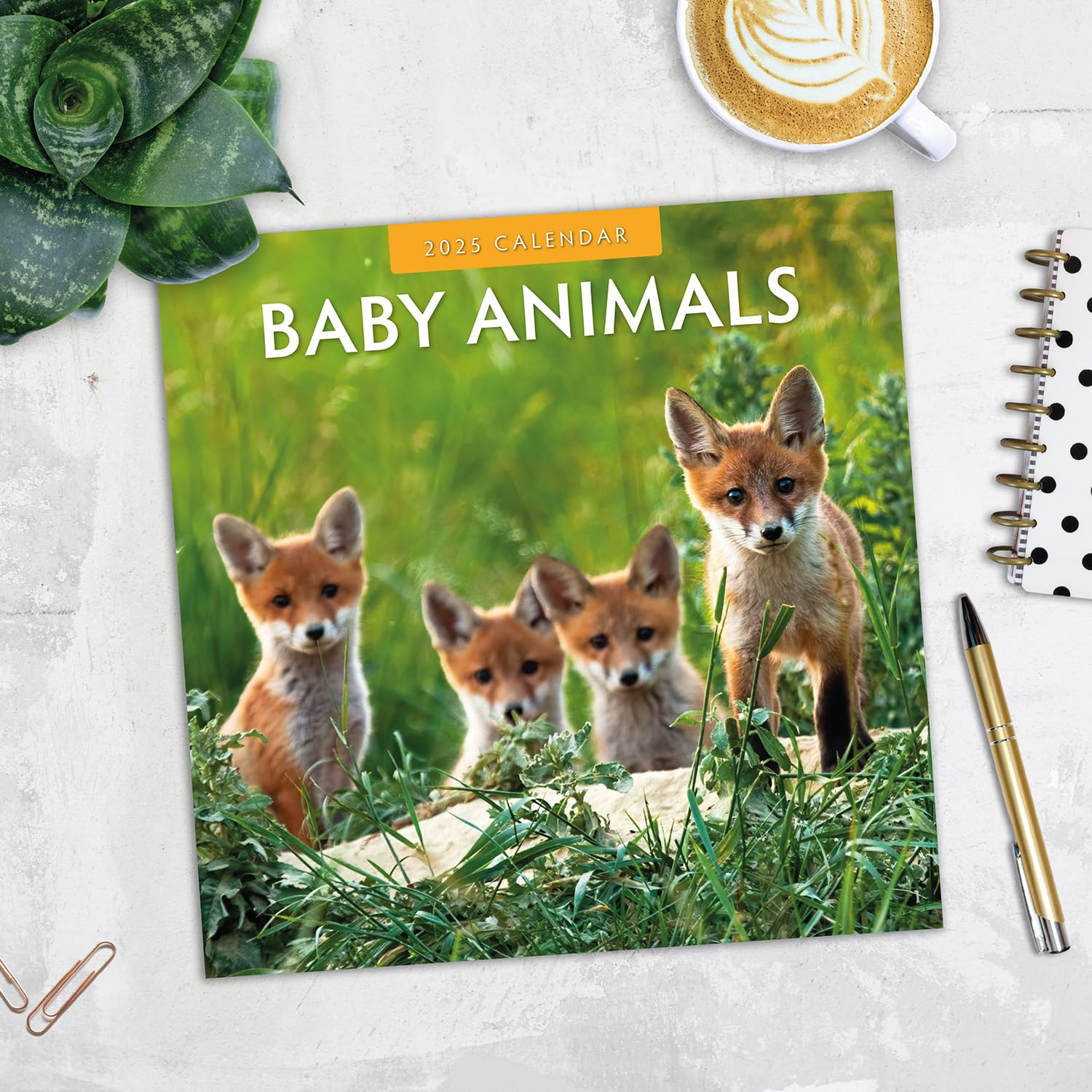 Red Robin 2025 Baby Animals Monthly Wall Calendar | 12" x 24" Open | Premium Thick & Sturdy Paper | Hangable 12 Month Calendar | Plastic Free | 4 Month Transition Page for 2024